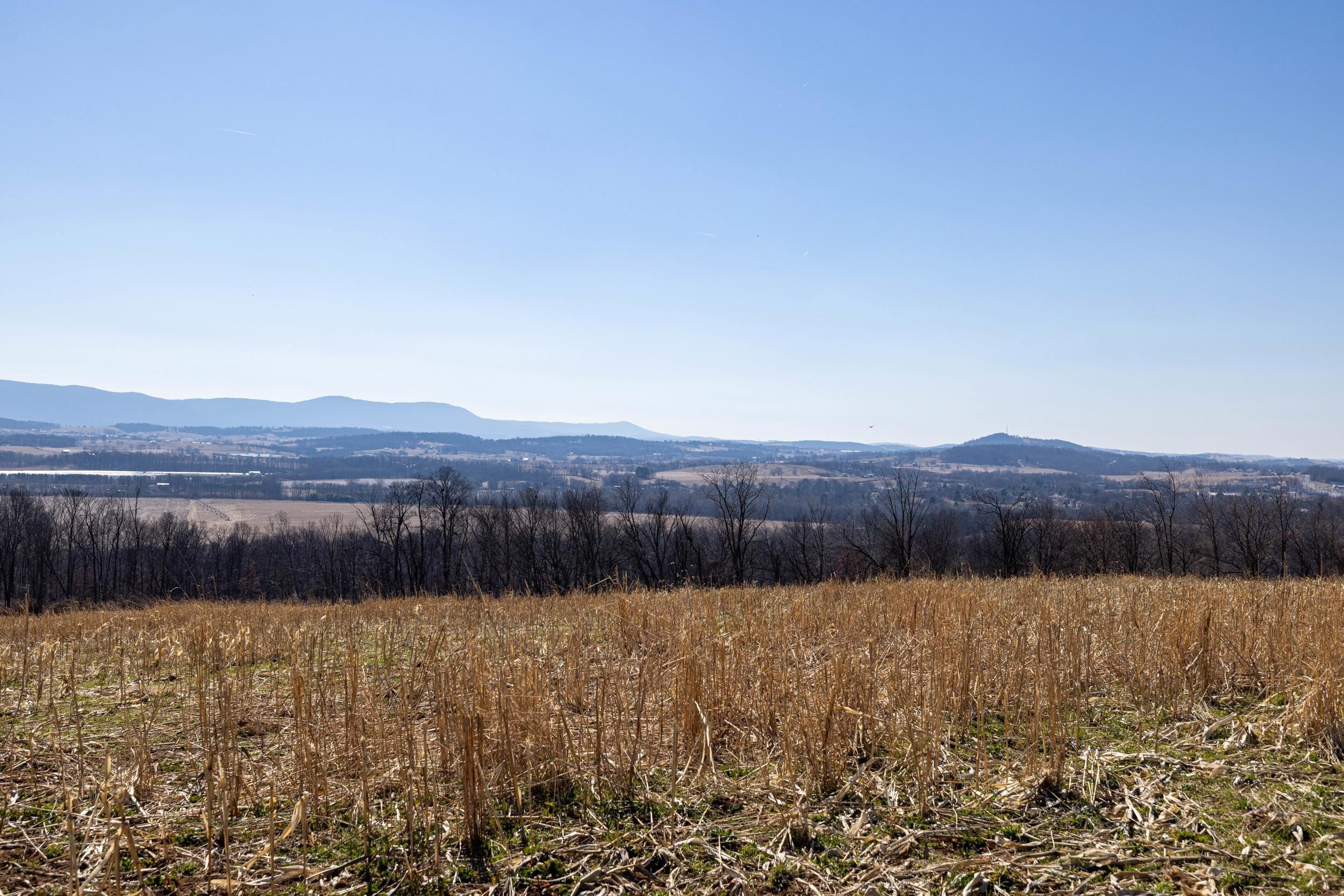 0 NEIGHBORS LN, TIMBERVILLE, Virginia 22853, ,Land,14,0 NEIGHBORS LN,673882 MLS # 673882