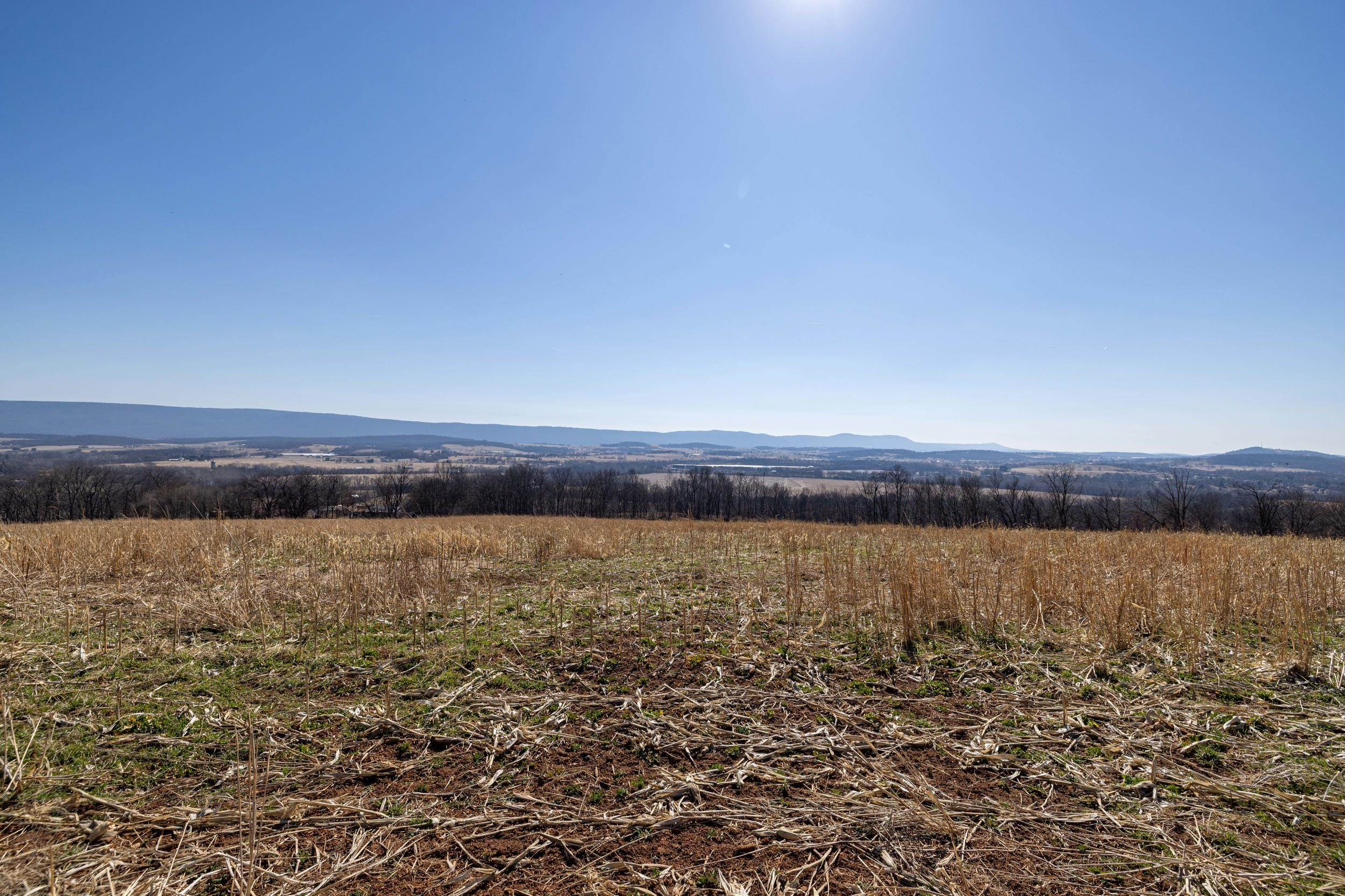 0 NEIGHBORS LN, TIMBERVILLE, Virginia 22853, ,Land,14,0 NEIGHBORS LN,673882 MLS # 673882