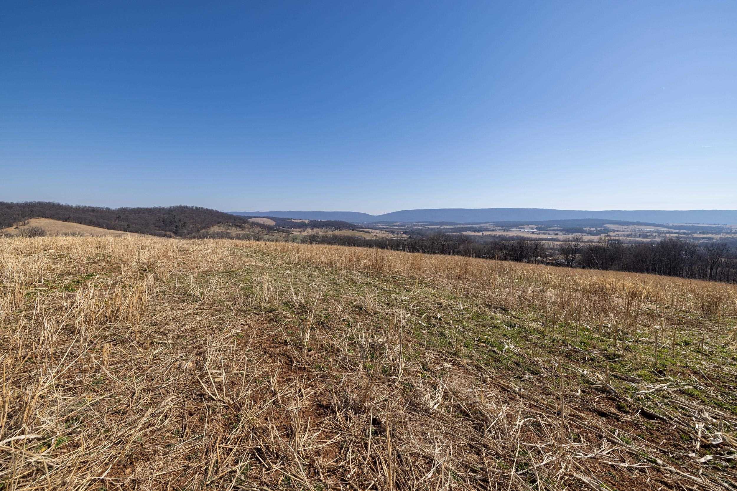 0 NEIGHBORS LN, TIMBERVILLE, Virginia 22853, ,Land,14,0 NEIGHBORS LN,673882 MLS # 673882