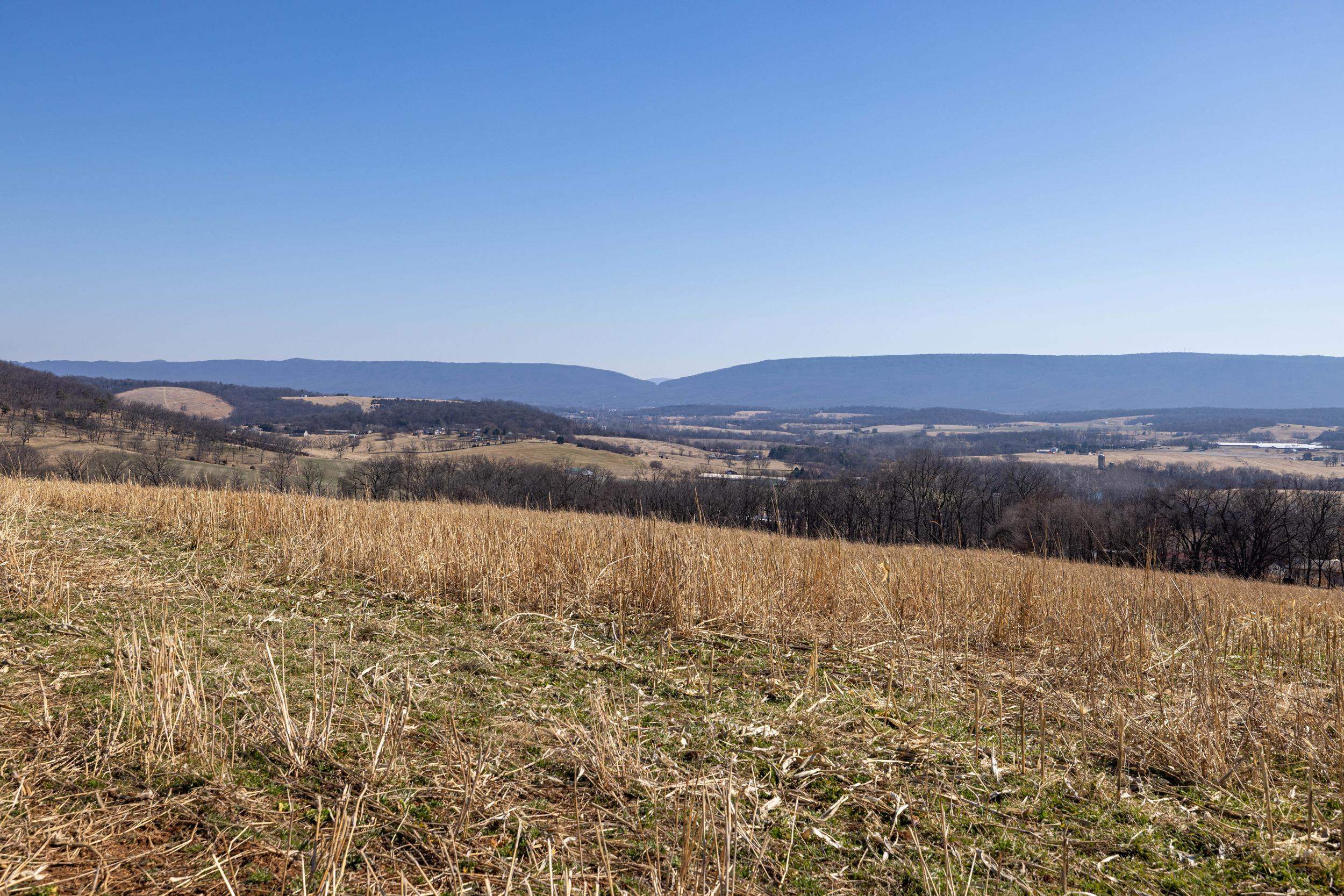 0 NEIGHBORS LN, TIMBERVILLE, Virginia 22853, ,Land,14,0 NEIGHBORS LN,673882 MLS # 673882