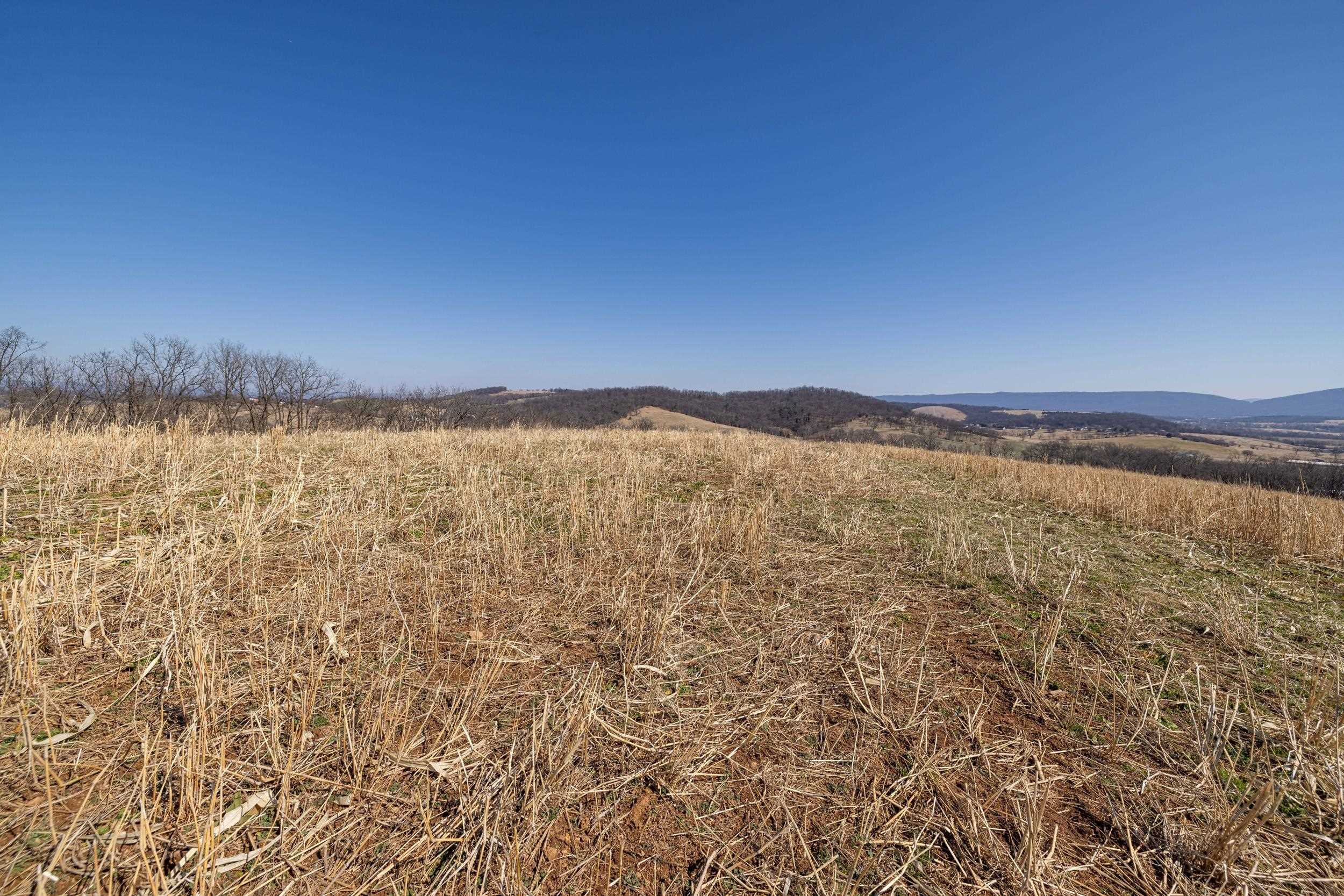 0 NEIGHBORS LN, TIMBERVILLE, Virginia 22853, ,Land,14,0 NEIGHBORS LN,673882 MLS # 673882