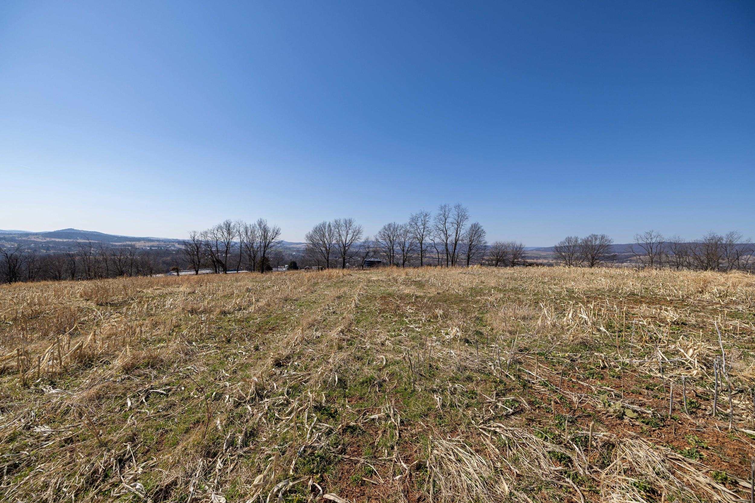 0 NEIGHBORS LN, TIMBERVILLE, Virginia 22853, ,Land,14,0 NEIGHBORS LN,673882 MLS # 673882