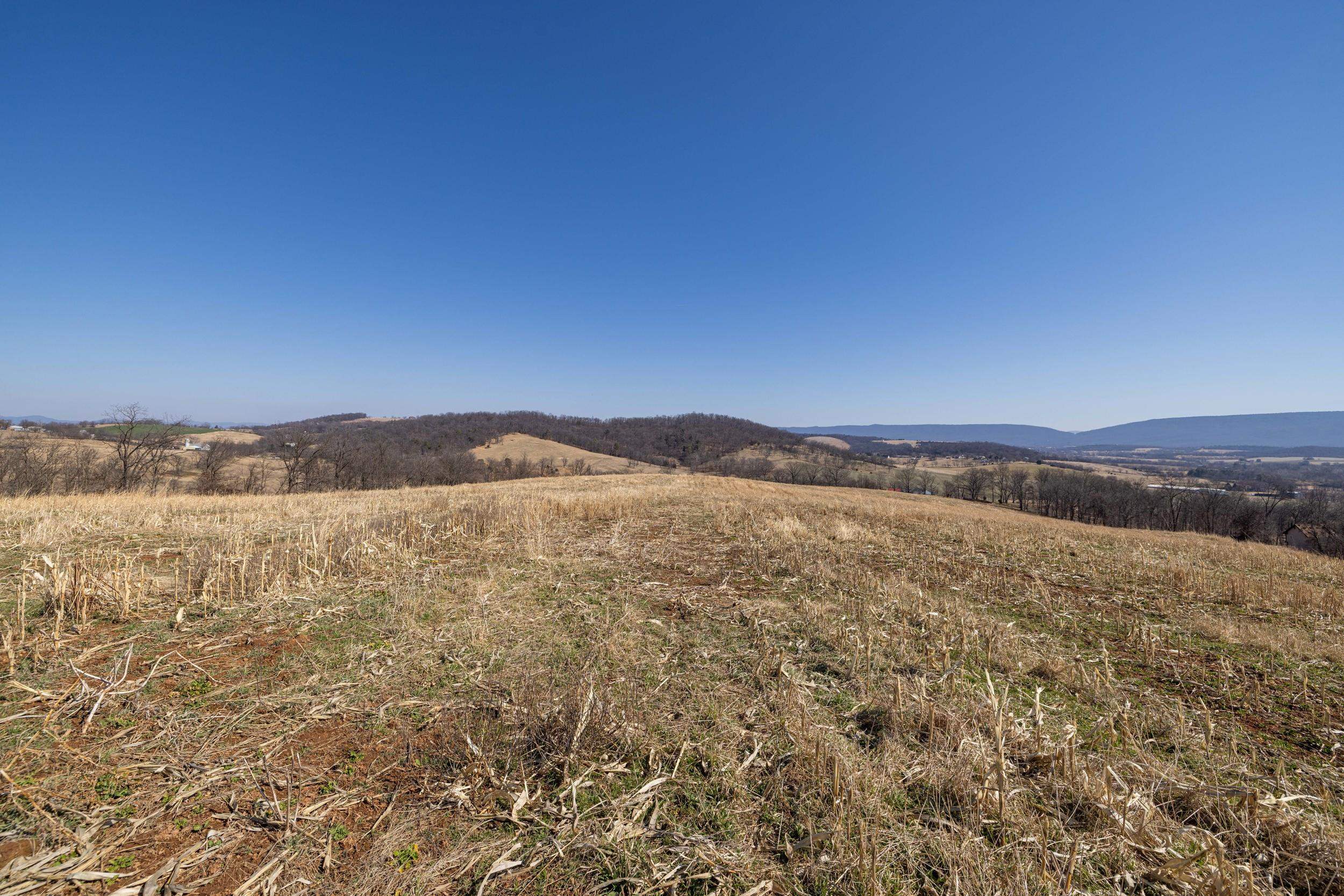 0 NEIGHBORS LN, TIMBERVILLE, Virginia 22853, ,Land,14,0 NEIGHBORS LN,673882 MLS # 673882