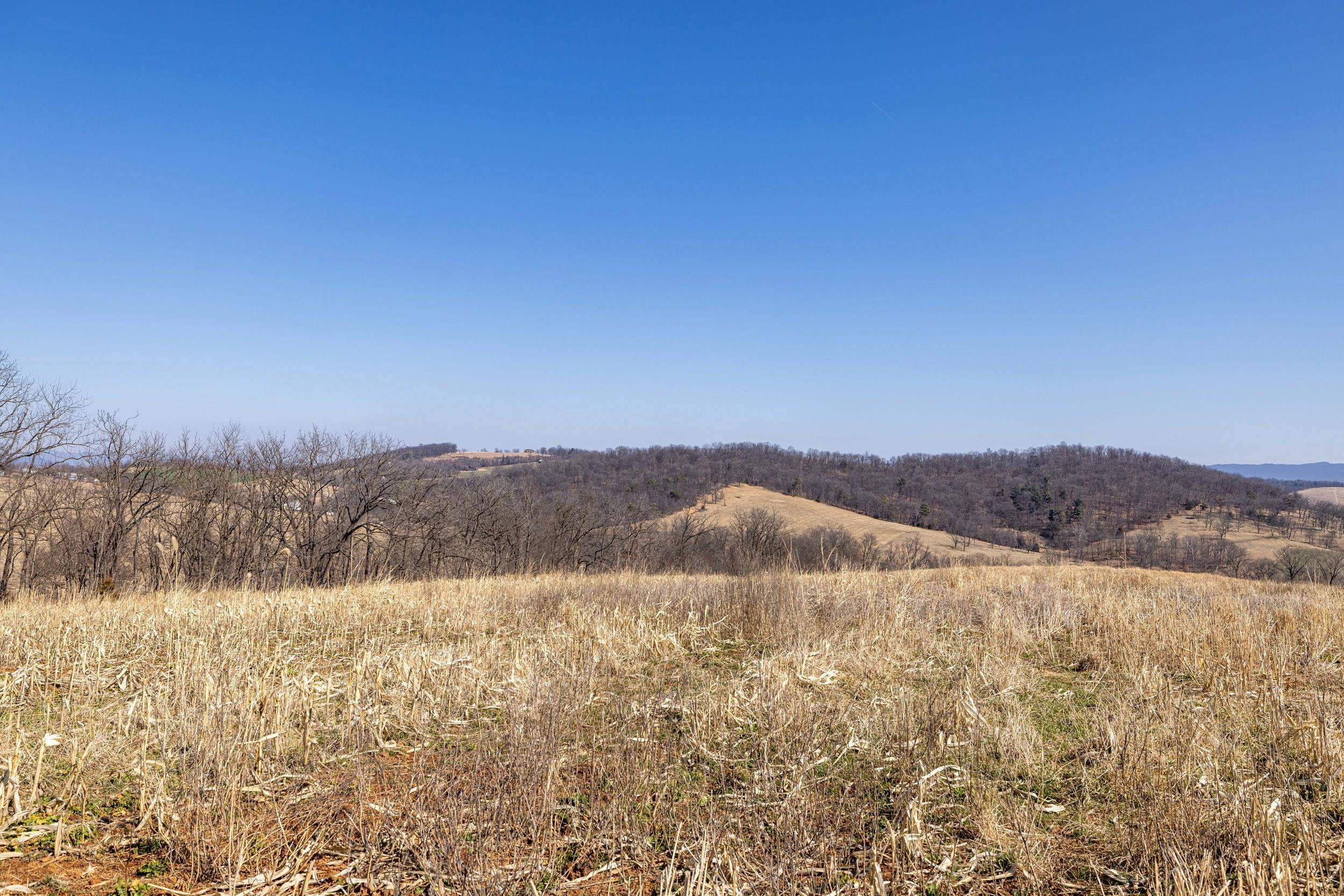 0 NEIGHBORS LN, TIMBERVILLE, Virginia 22853, ,Land,14,0 NEIGHBORS LN,673882 MLS # 673882