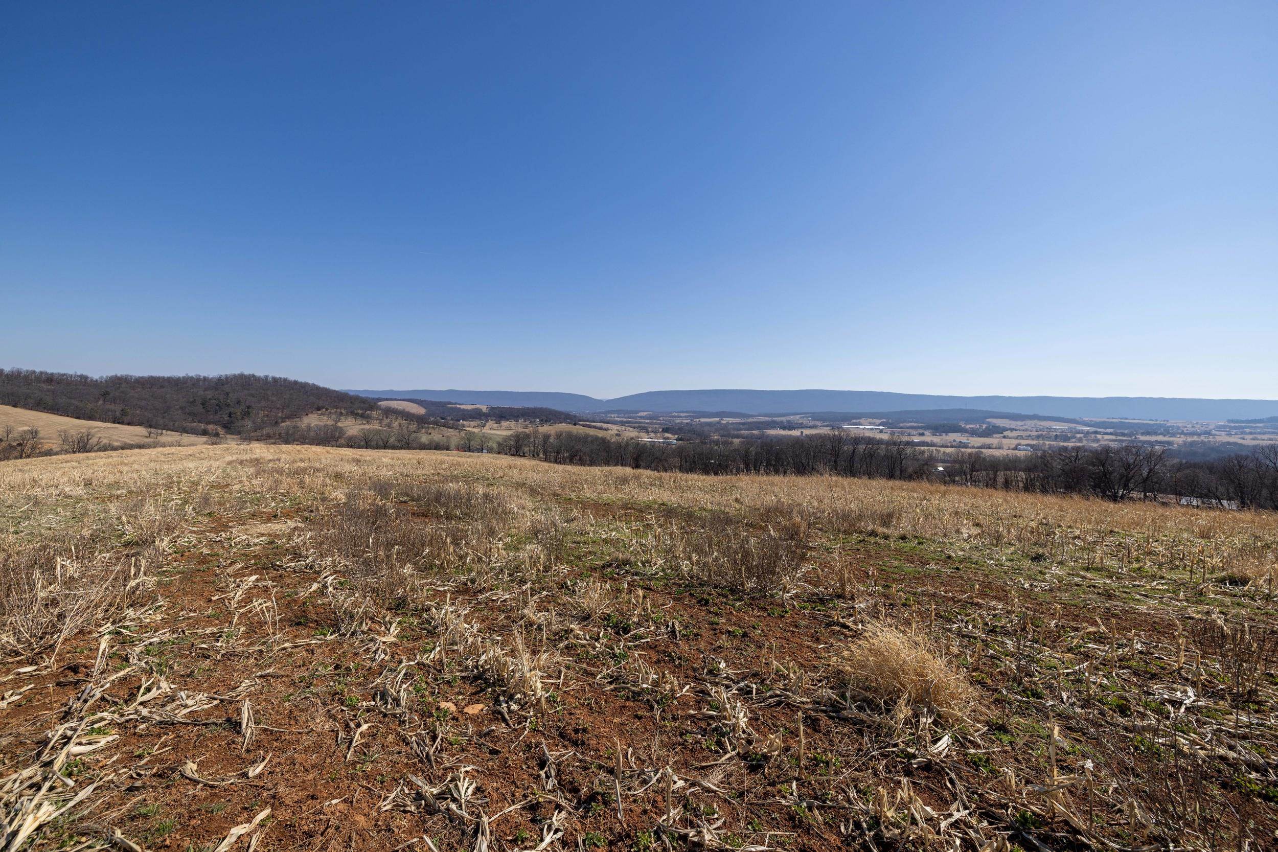 0 NEIGHBORS LN, TIMBERVILLE, Virginia 22853, ,Land,14,0 NEIGHBORS LN,673882 MLS # 673882