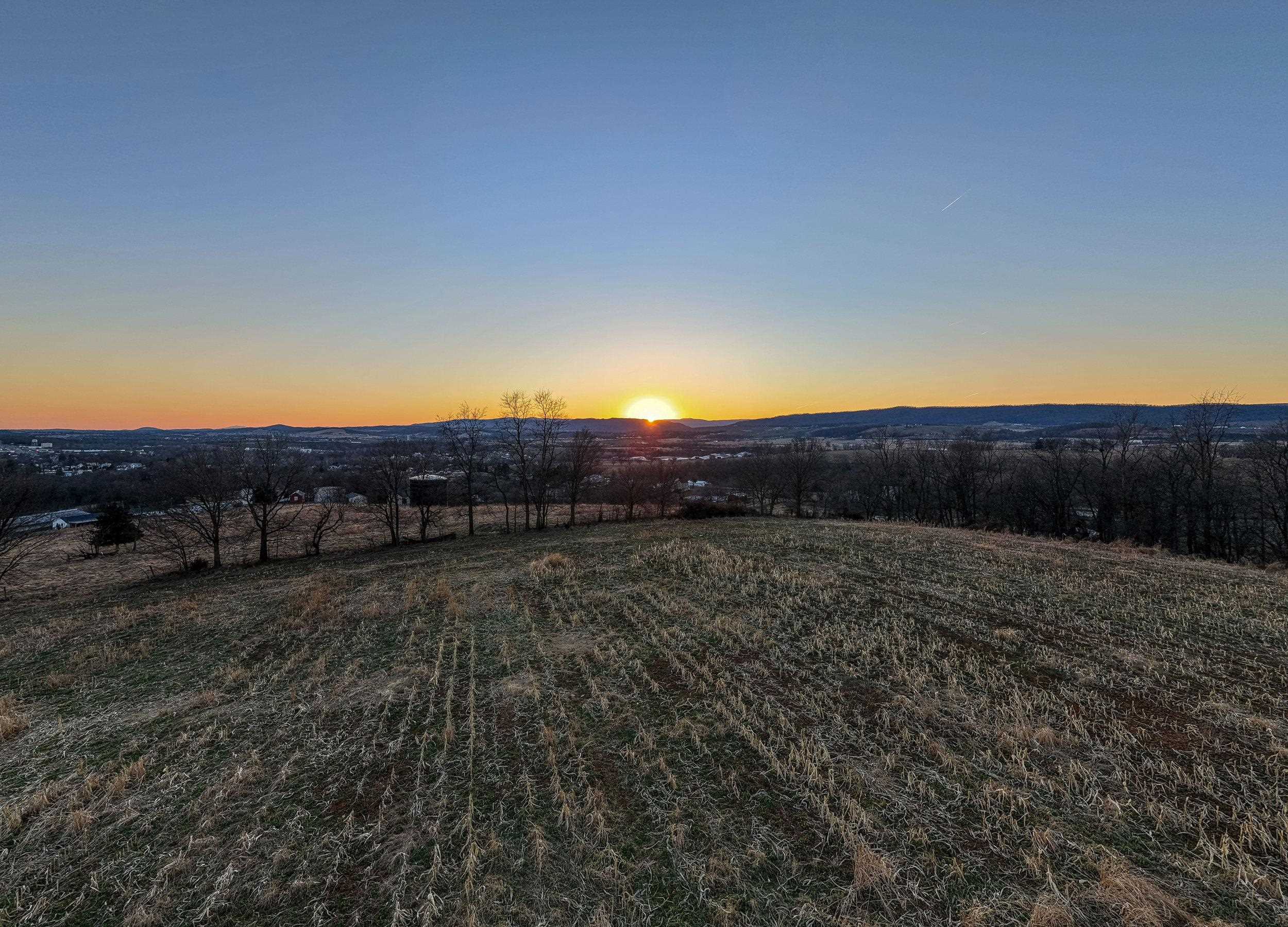 0 NEIGHBORS LN, TIMBERVILLE, Virginia 22853, ,Land,14,0 NEIGHBORS LN,673882 MLS # 673882