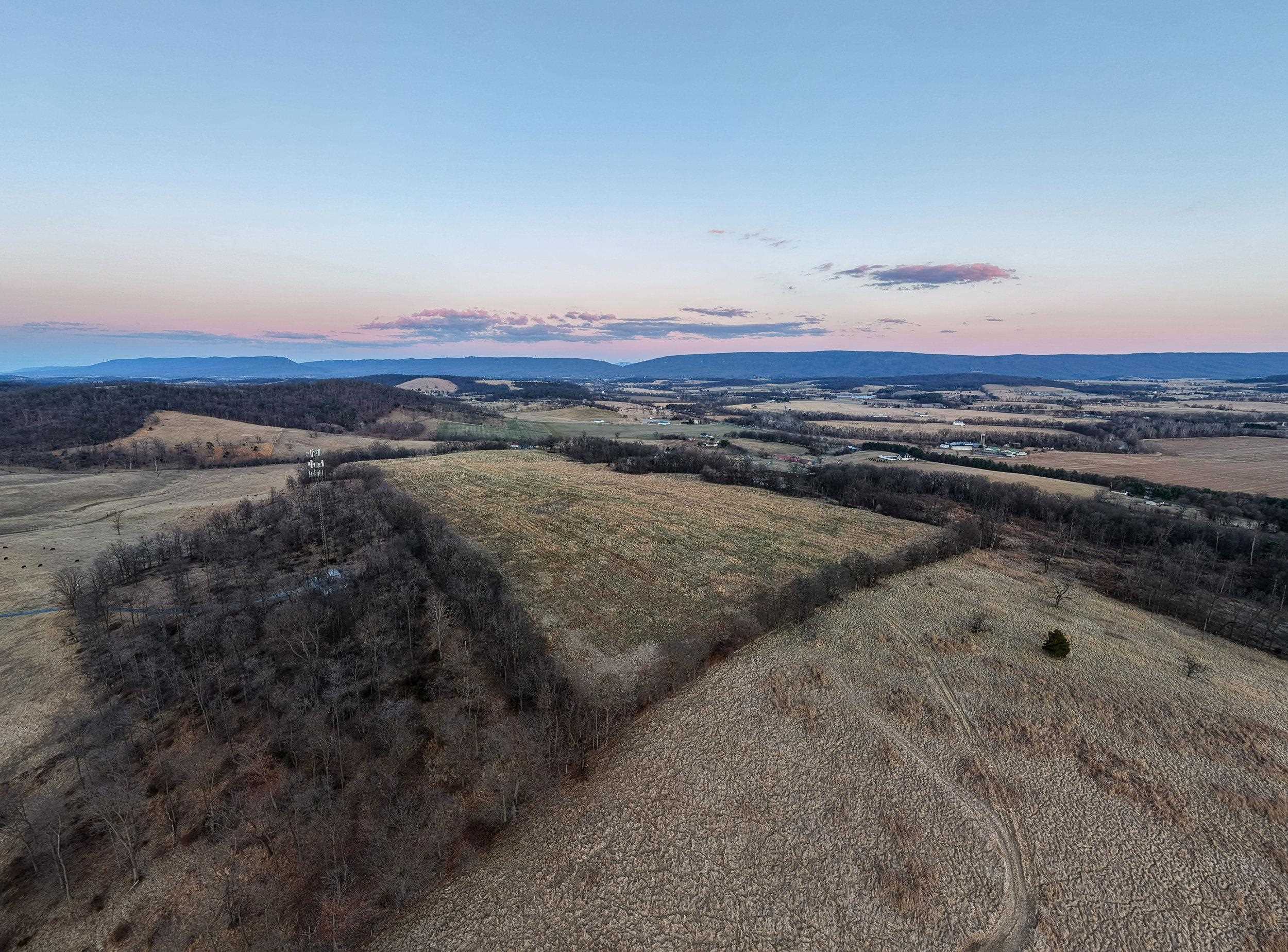 0 NEIGHBORS LN, TIMBERVILLE, Virginia 22853, ,Land,14,0 NEIGHBORS LN,673882 MLS # 673882