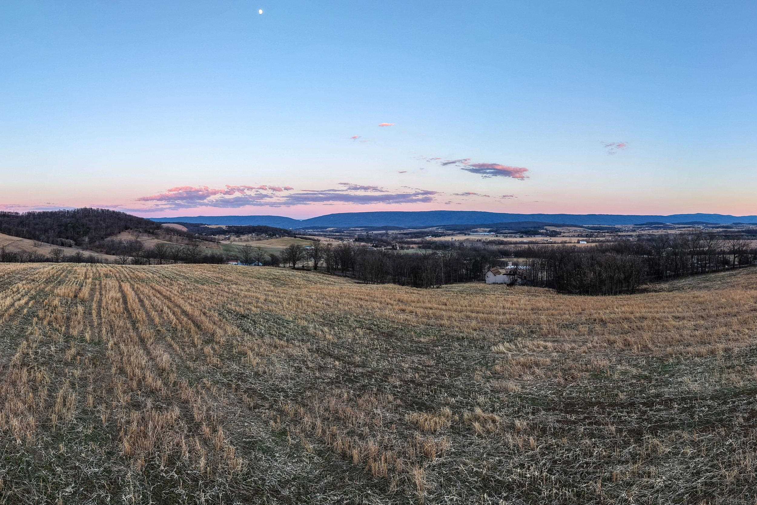 0 NEIGHBORS LN, TIMBERVILLE, Virginia 22853, ,Land,14,0 NEIGHBORS LN,673882 MLS # 673882