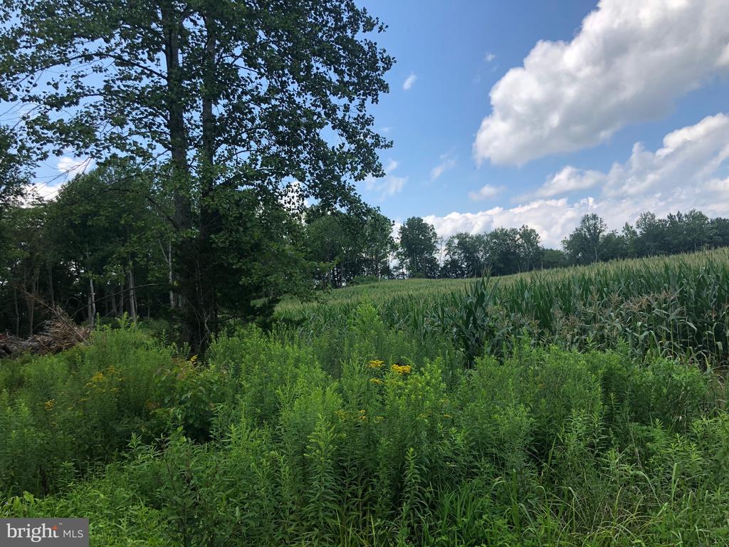 ORANGE RD., ARODA, Virginia 22709, ,Land,14,ORANGE RD.,VAMA2002766 MLS # VAMA2002766 ORANGE RD., ARODA, Virginia 22709, ,Land,14,ORANGE RD.,VAMA2002766 MLS # VAMA2002766