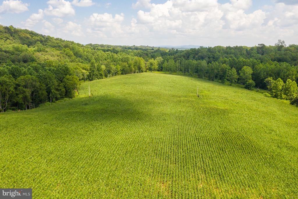 ORANGE RD., ARODA, Virginia 22709, ,Land,14,ORANGE RD.,VAMA2002766 MLS # VAMA2002766 ORANGE RD., ARODA, Virginia 22709, ,Land,14,ORANGE RD.,VAMA2002766 MLS # VAMA2002766