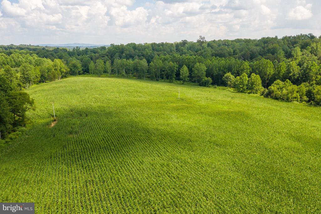 ORANGE RD., ARODA, Virginia 22709, ,Land,14,ORANGE RD.,VAMA2002766 MLS # VAMA2002766 ORANGE RD., ARODA, Virginia 22709, ,Land,14,ORANGE RD.,VAMA2002766 MLS # VAMA2002766