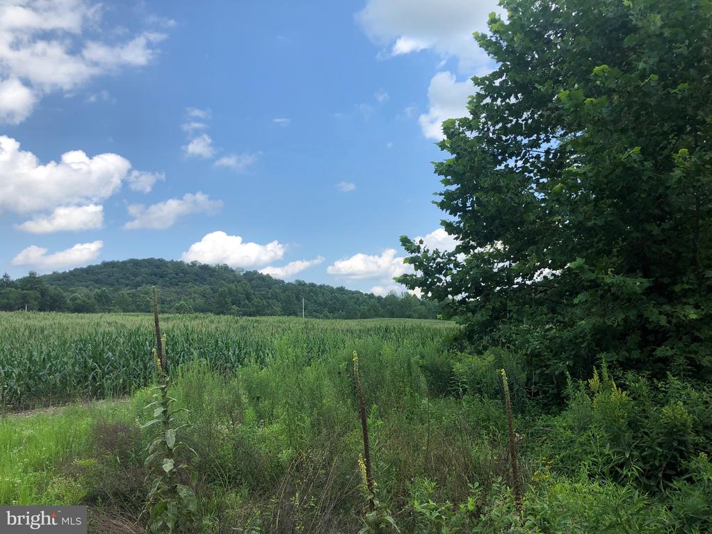 ORANGE RD., ARODA, Virginia 22709, ,Land,14,ORANGE RD.,VAMA2002766 MLS # VAMA2002766 ORANGE RD., ARODA, Virginia 22709, ,Land,14,ORANGE RD.,VAMA2002766 MLS # VAMA2002766