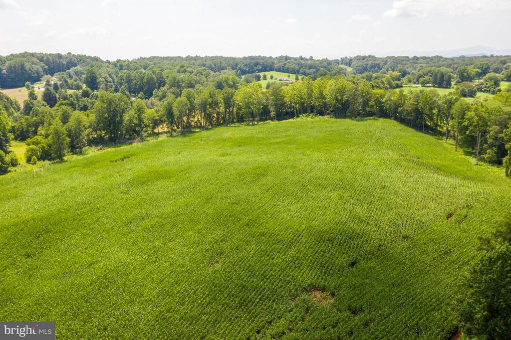 ORANGE RD., ARODA, Virginia 22709, ,Land,14,ORANGE RD.,VAMA2002766 MLS # VAMA2002766 ORANGE RD., ARODA, Virginia 22709, ,Land,14,ORANGE RD.,VAMA2002766 MLS # VAMA2002766
