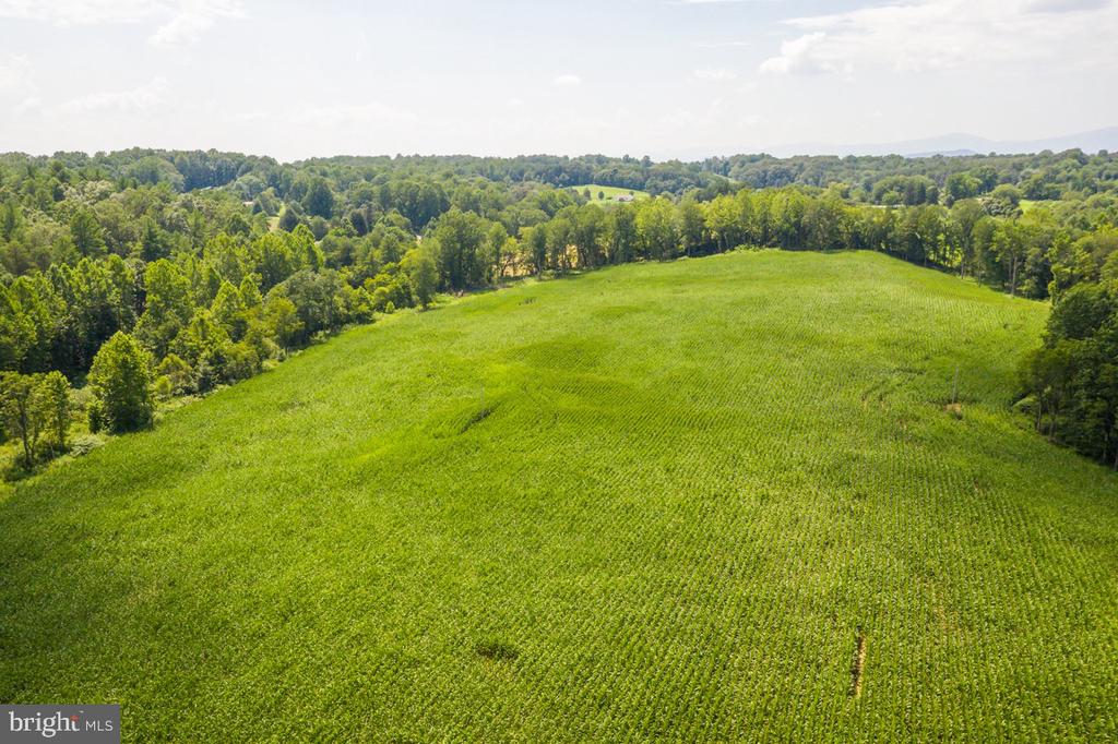ORANGE RD., ARODA, Virginia 22709, ,Land,14,ORANGE RD.,VAMA2002766 MLS # VAMA2002766 ORANGE RD., ARODA, Virginia 22709, ,Land,14,ORANGE RD.,VAMA2002766 MLS # VAMA2002766