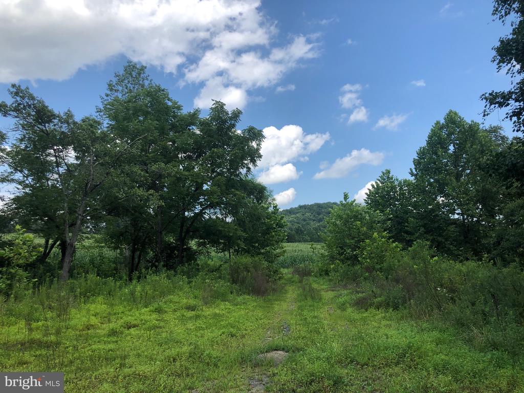 ORANGE RD., ARODA, Virginia 22709, ,Land,14,ORANGE RD.,VAMA2002766 MLS # VAMA2002766 ORANGE RD., ARODA, Virginia 22709, ,Land,14,ORANGE RD.,VAMA2002766 MLS # VAMA2002766