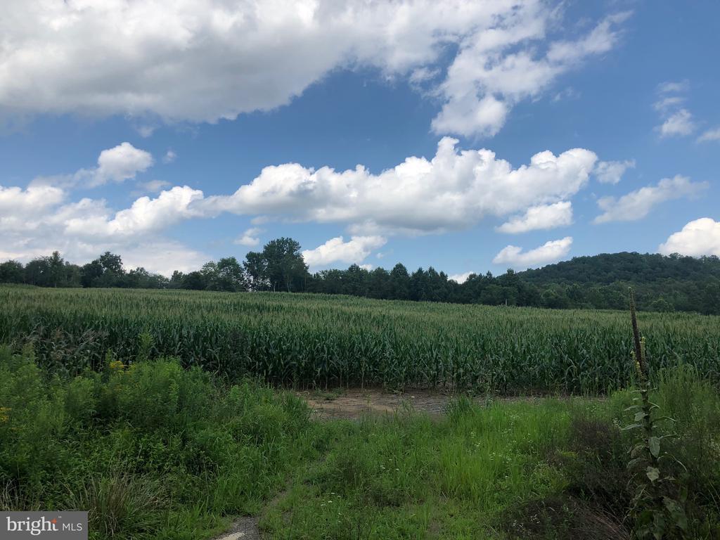 ORANGE RD., ARODA, Virginia 22709, ,Land,14,ORANGE RD.,VAMA2002766 MLS # VAMA2002766 ORANGE RD., ARODA, Virginia 22709, ,Land,14,ORANGE RD.,VAMA2002766 MLS # VAMA2002766