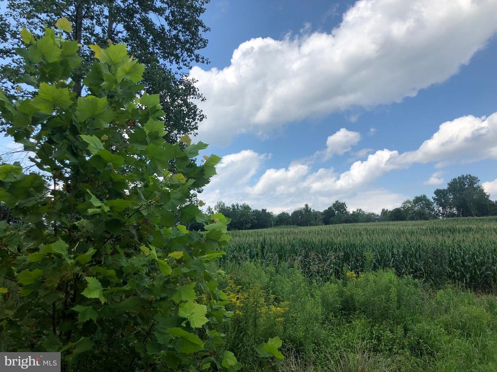 ORANGE RD., ARODA, Virginia 22709, ,Land,14,ORANGE RD.,VAMA2002766 MLS # VAMA2002766 ORANGE RD., ARODA, Virginia 22709, ,Land,14,ORANGE RD.,VAMA2002766 MLS # VAMA2002766