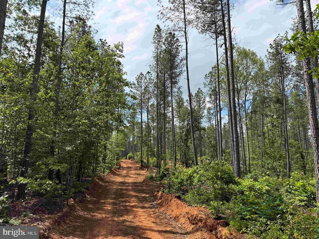 WEST RIVER ROAD (TRACT: JR SADIE FLANAGAN-2), FORK UNION, Virginia 23055, ,Farm,14,WEST RIVER ROAD (TRACT: JR SADIE FLANAGAN-2),VAFN2000688 MLS # VAFN2000688 WEST RIVER ROAD (TRACT: JR SADIE FLANAGAN-2), FORK UNION, Virginia 23055, ,Farm,14,WEST RIVER ROAD (TRACT: JR SADIE FLANAGAN-2),VAFN2000688 MLS # VAFN2000688