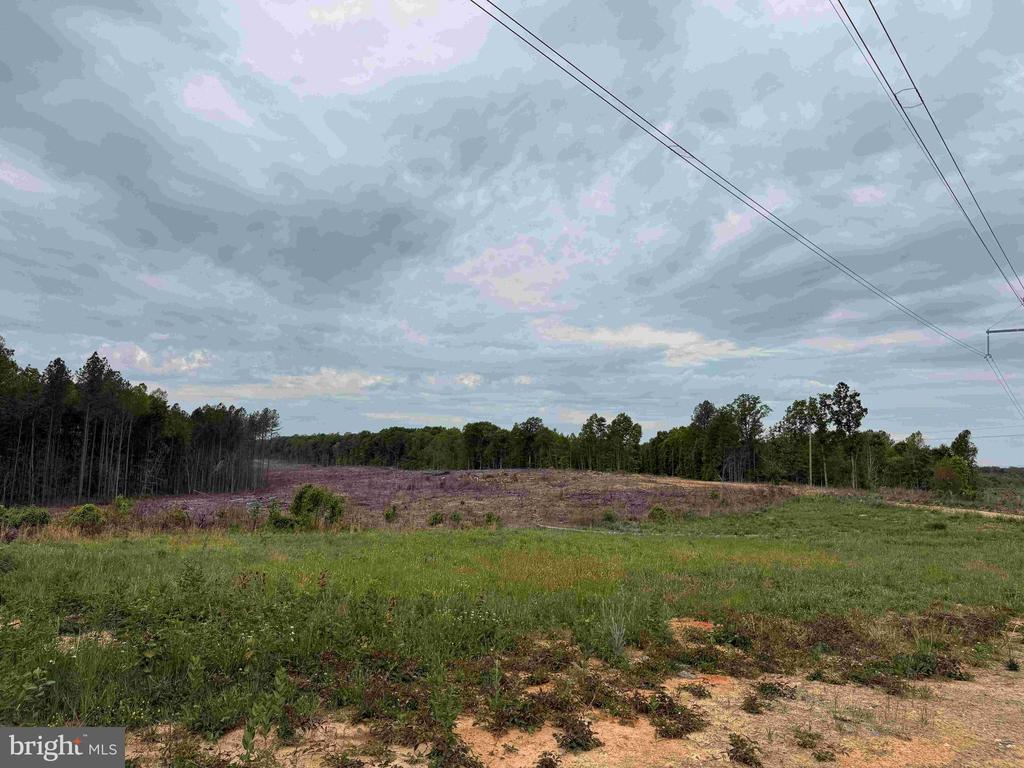 WEST RIVER ROAD (TRACT: JR SADIE FLANAGAN-2), FORK UNION, Virginia 23055, ,Farm,14,WEST RIVER ROAD (TRACT: JR SADIE FLANAGAN-2),VAFN2000688 MLS # VAFN2000688 WEST RIVER ROAD (TRACT: JR SADIE FLANAGAN-2), FORK UNION, Virginia 23055, ,Farm,14,WEST RIVER ROAD (TRACT: JR SADIE FLANAGAN-2),VAFN2000688 MLS # VAFN2000688