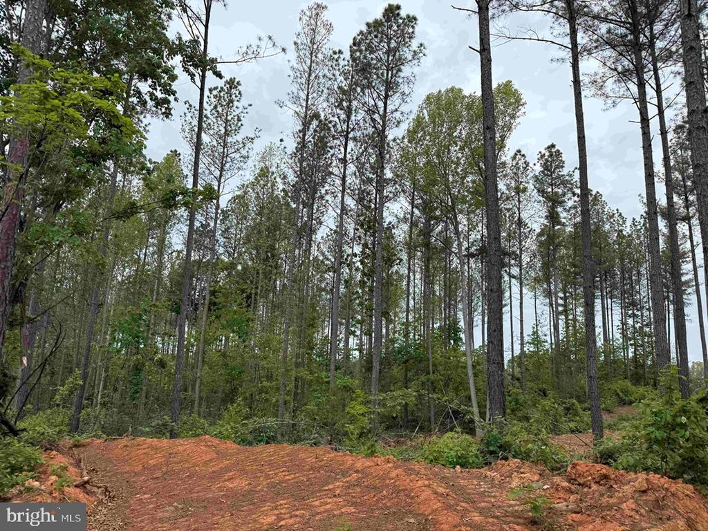 WEST RIVER ROAD (TRACT: JR SADIE FLANAGAN-2), FORK UNION, Virginia 23055, ,Farm,14,WEST RIVER ROAD (TRACT: JR SADIE FLANAGAN-2),VAFN2000688 MLS # VAFN2000688 WEST RIVER ROAD (TRACT: JR SADIE FLANAGAN-2), FORK UNION, Virginia 23055, ,Farm,14,WEST RIVER ROAD (TRACT: JR SADIE FLANAGAN-2),VAFN2000688 MLS # VAFN2000688