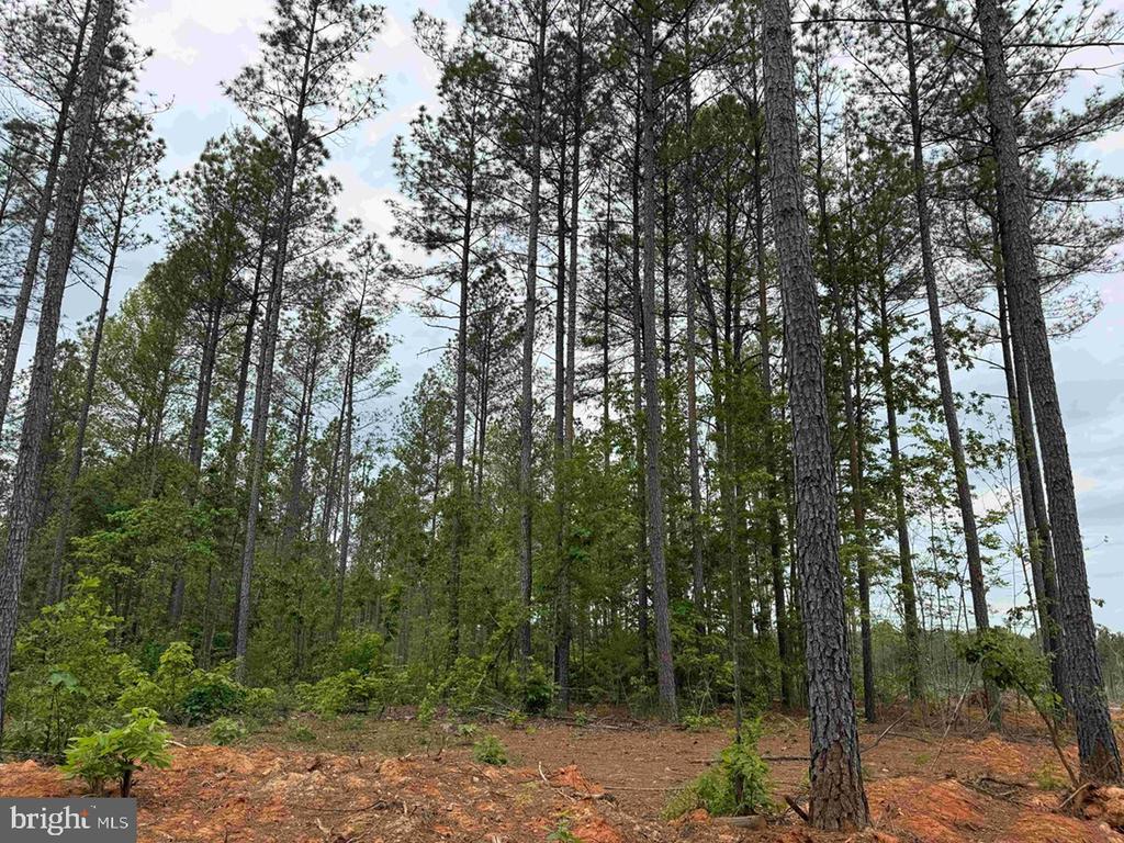 WEST RIVER ROAD (TRACT: JR SADIE FLANAGAN-2), FORK UNION, Virginia 23055, ,Farm,14,WEST RIVER ROAD (TRACT: JR SADIE FLANAGAN-2),VAFN2000688 MLS # VAFN2000688 WEST RIVER ROAD (TRACT: JR SADIE FLANAGAN-2), FORK UNION, Virginia 23055, ,Farm,14,WEST RIVER ROAD (TRACT: JR SADIE FLANAGAN-2),VAFN2000688 MLS # VAFN2000688