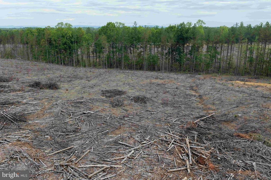 WEST RIVER ROAD (TRACT: JR SADIE FLANAGAN-2), FORK UNION, Virginia 23055, ,Farm,14,WEST RIVER ROAD (TRACT: JR SADIE FLANAGAN-2),VAFN2000688 MLS # VAFN2000688 WEST RIVER ROAD (TRACT: JR SADIE FLANAGAN-2), FORK UNION, Virginia 23055, ,Farm,14,WEST RIVER ROAD (TRACT: JR SADIE FLANAGAN-2),VAFN2000688 MLS # VAFN2000688