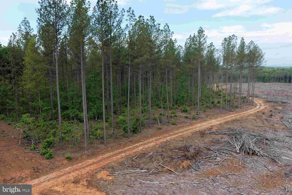WEST RIVER ROAD (TRACT: JR SADIE FLANAGAN-2), FORK UNION, Virginia 23055, ,Farm,14,WEST RIVER ROAD (TRACT: JR SADIE FLANAGAN-2),VAFN2000688 MLS # VAFN2000688 WEST RIVER ROAD (TRACT: JR SADIE FLANAGAN-2), FORK UNION, Virginia 23055, ,Farm,14,WEST RIVER ROAD (TRACT: JR SADIE FLANAGAN-2),VAFN2000688 MLS # VAFN2000688