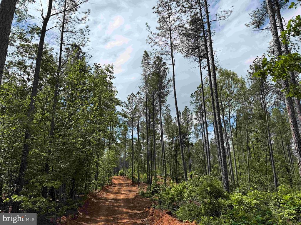 WEST RIVER ROAD (TRACT: JR SADIE FLANAGAN-1), FORK UNION, Virginia 23055, ,Farm,14,WEST RIVER ROAD (TRACT: JR SADIE FLANAGAN-1),VAFN2000686 MLS # VAFN2000686