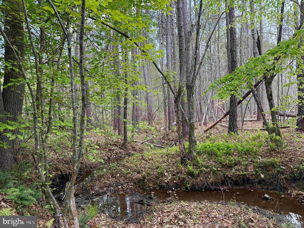 WEST RIVER ROAD (TRACT: JR SADIE FLANAGAN-1), FORK UNION, Virginia 23055, ,Farm,14,WEST RIVER ROAD (TRACT: JR SADIE FLANAGAN-1),VAFN2000686 MLS # VAFN2000686