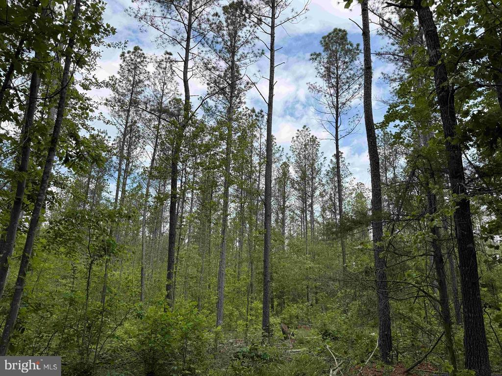 WEST RIVER ROAD (TRACT: JR SADIE FLANAGAN-1), FORK UNION, Virginia 23055, ,Farm,14,WEST RIVER ROAD (TRACT: JR SADIE FLANAGAN-1),VAFN2000686 MLS # VAFN2000686