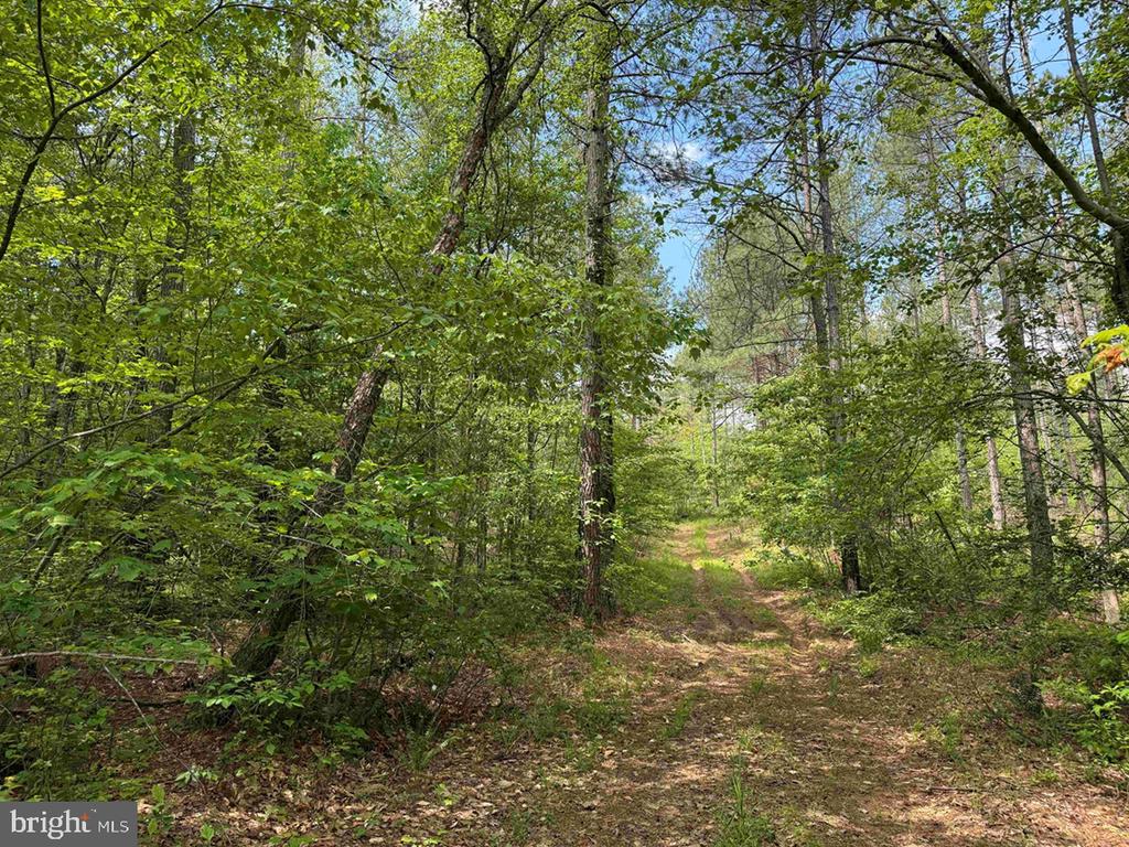 WEST RIVER ROAD (TRACT: JR SADIE FLANAGAN-1), FORK UNION, Virginia 23055, ,Farm,14,WEST RIVER ROAD (TRACT: JR SADIE FLANAGAN-1),VAFN2000686 MLS # VAFN2000686
