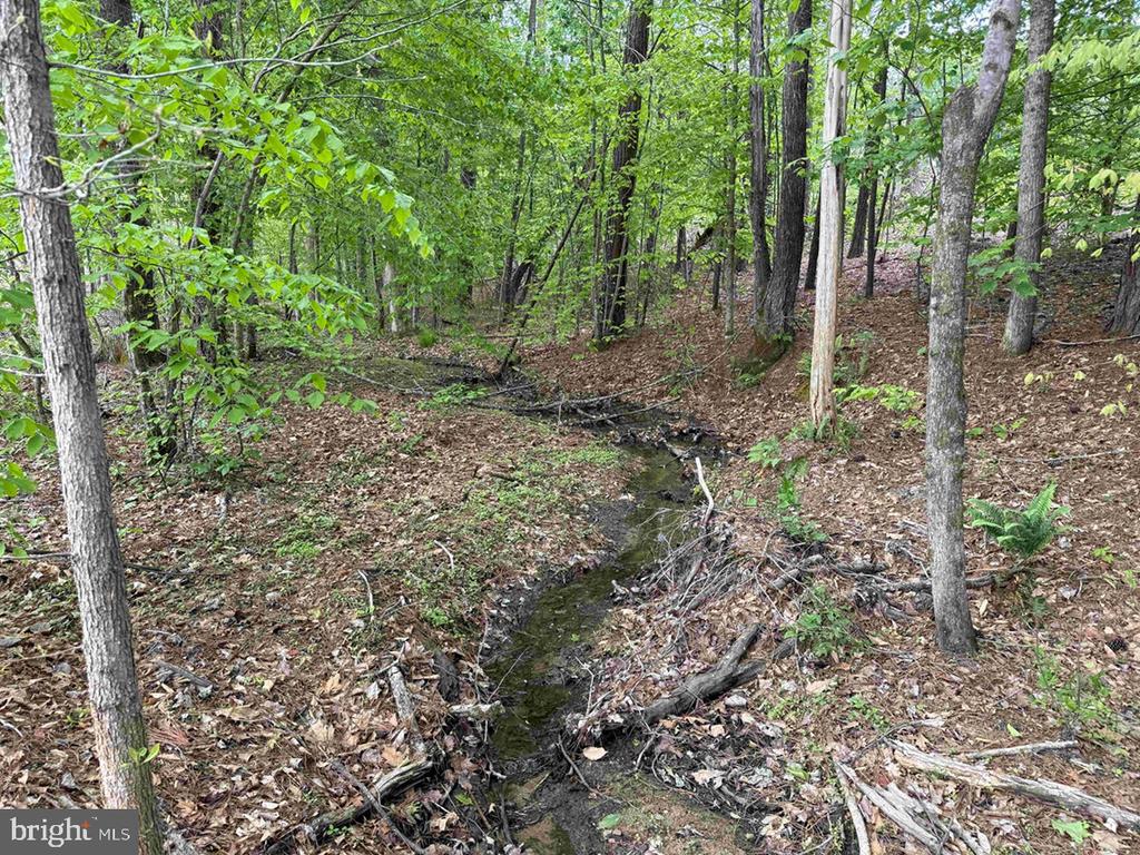 WEST RIVER ROAD (TRACT: JR SADIE FLANAGAN-1), FORK UNION, Virginia 23055, ,Farm,14,WEST RIVER ROAD (TRACT: JR SADIE FLANAGAN-1),VAFN2000686 MLS # VAFN2000686