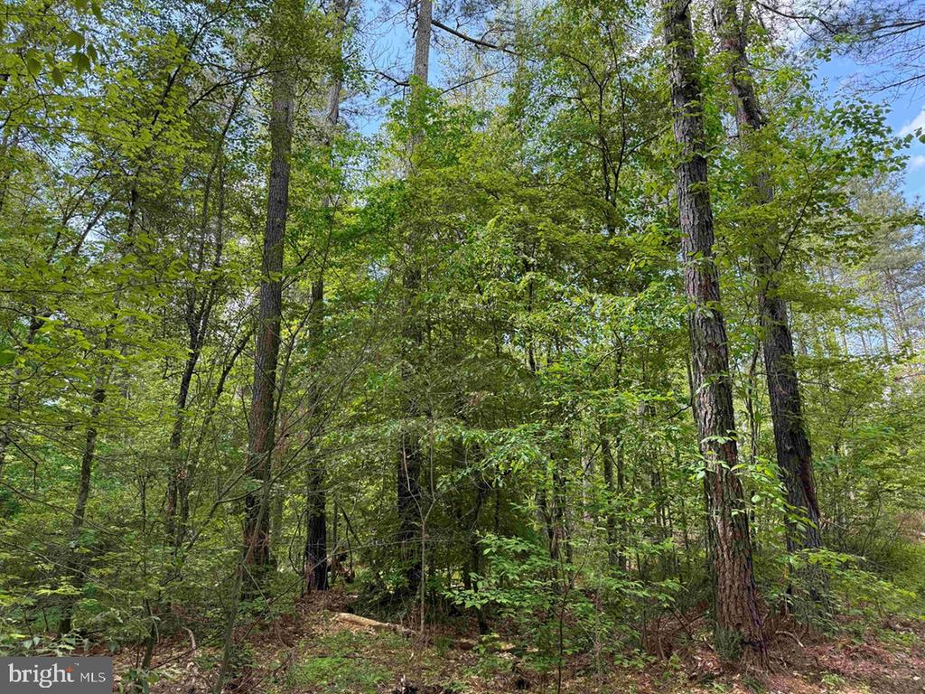WEST RIVER ROAD (TRACT: JR SADIE FLANAGAN-1), FORK UNION, Virginia 23055, ,Farm,14,WEST RIVER ROAD (TRACT: JR SADIE FLANAGAN-1),VAFN2000686 MLS # VAFN2000686