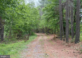 WEST RIVER ROAD (TRACT: JR SADIE FLANAGAN-1), FORK UNION, Virginia 23055, ,Farm,14,WEST RIVER ROAD (TRACT: JR SADIE FLANAGAN-1),VAFN2000686 MLS # VAFN2000686