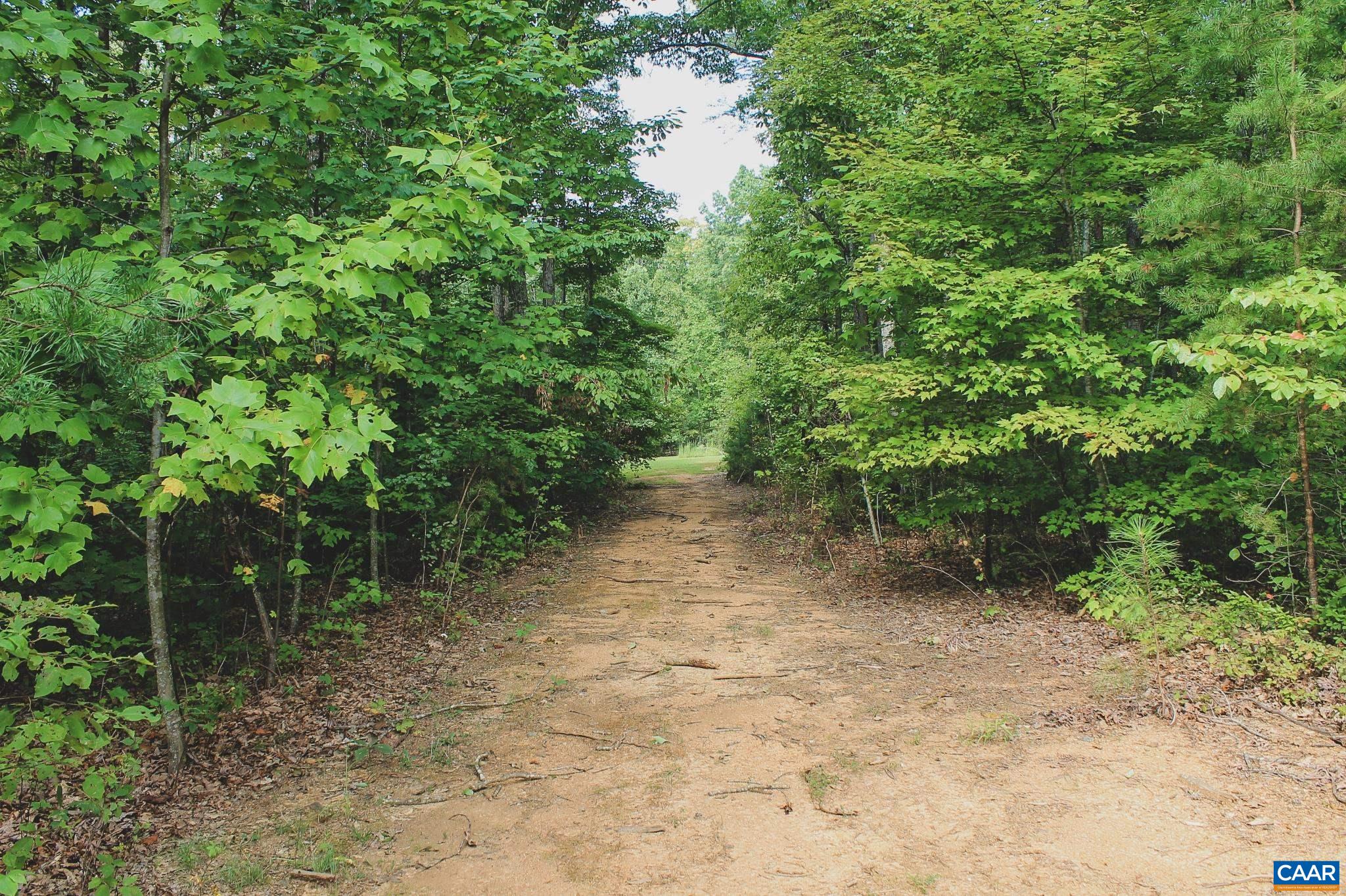 6414 JEFFERSON MILL RD, SCOTTSVILLE, Virginia 24590, 5 Bedrooms Bedrooms, ,3 BathroomsBathrooms,Residential,14,6414 JEFFERSON MILL RD,677200 MLS # 677200 6414 JEFFERSON MILL RD, SCOTTSVILLE, Virginia 24590, 5 Bedrooms Bedrooms, ,3 BathroomsBathrooms,Residential,14,6414 JEFFERSON MILL RD,677200 MLS # 677200