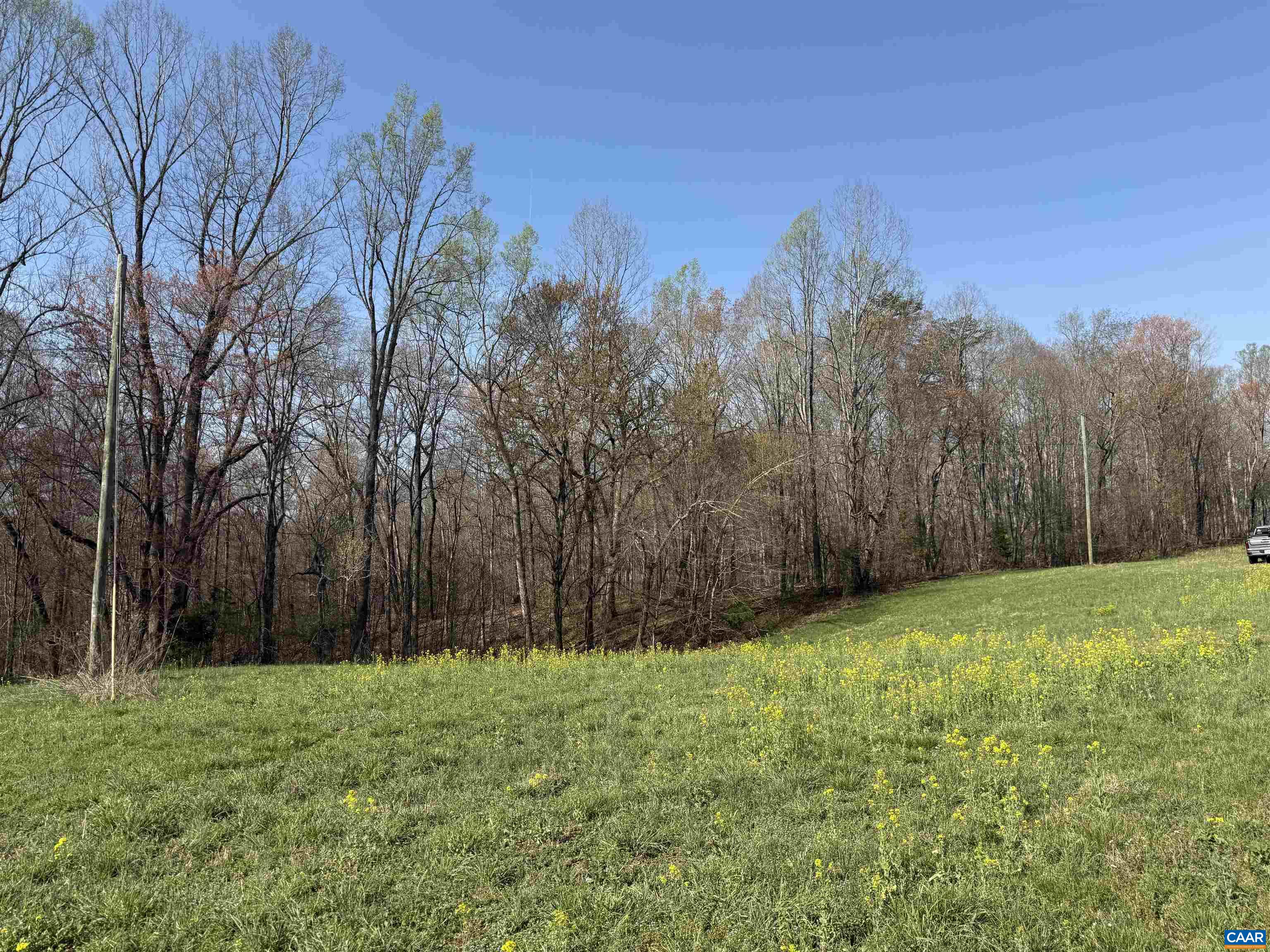 0 PAYNES POND RD, SCOTTSVILLE, Virginia 24590, ,Farm,14,0 PAYNES POND RD,677374 MLS # 677374