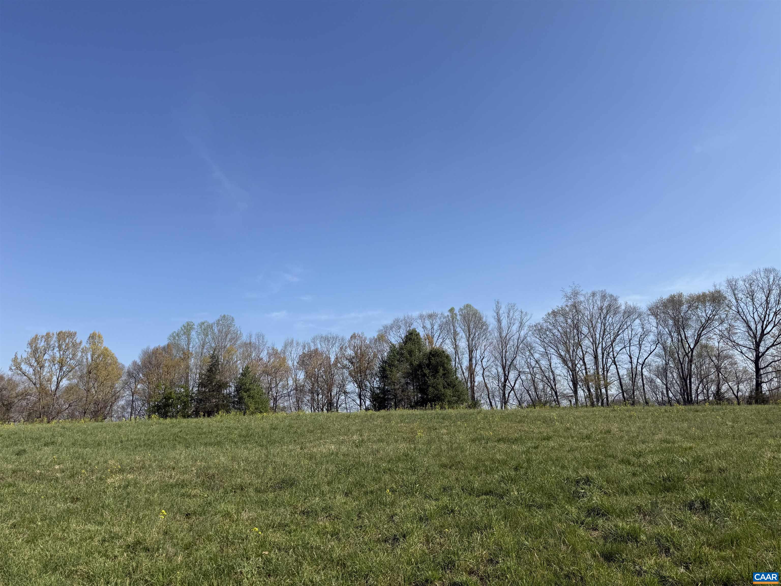 0 PAYNES POND RD, SCOTTSVILLE, Virginia 24590, ,Farm,14,0 PAYNES POND RD,677374 MLS # 677374