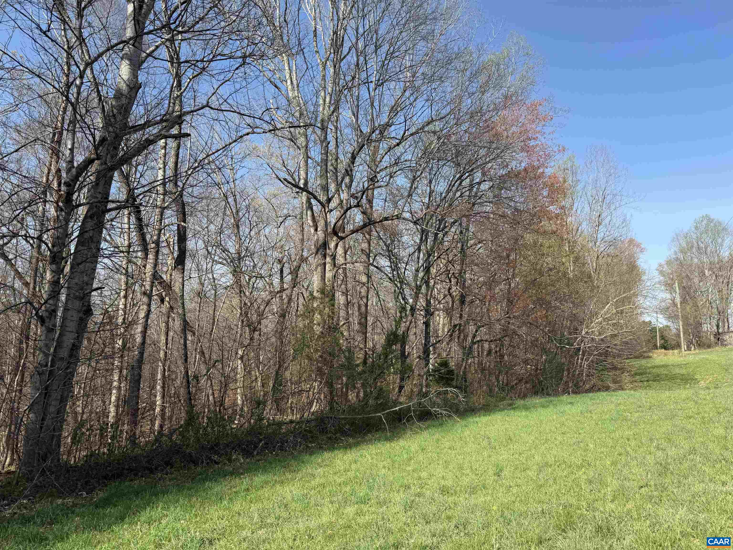 0 PAYNES POND RD, SCOTTSVILLE, Virginia 24590, ,Farm,14,0 PAYNES POND RD,677374 MLS # 677374