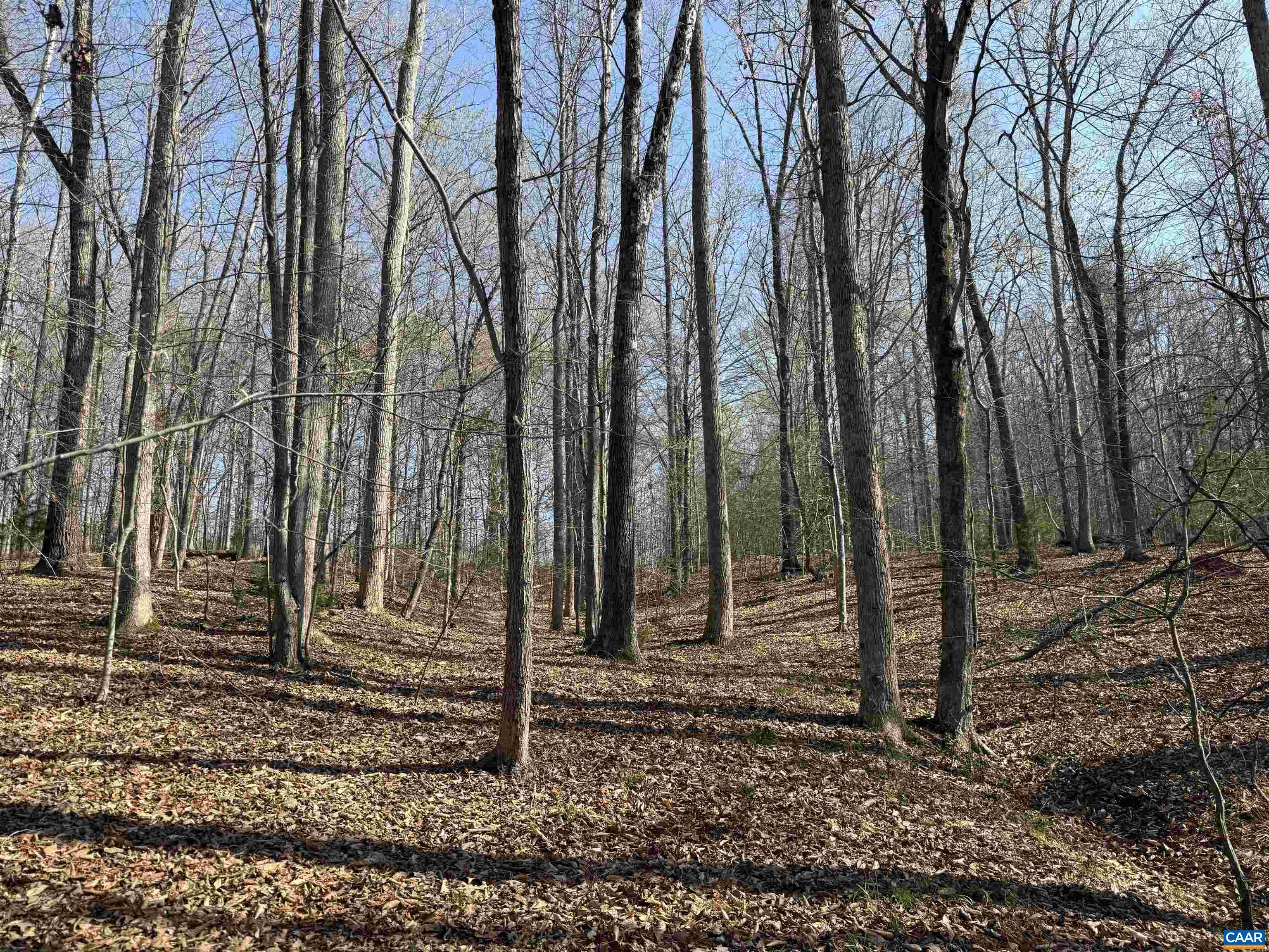 0 PAYNES POND RD, SCOTTSVILLE, Virginia 24590, ,Farm,14,0 PAYNES POND RD,677374 MLS # 677374