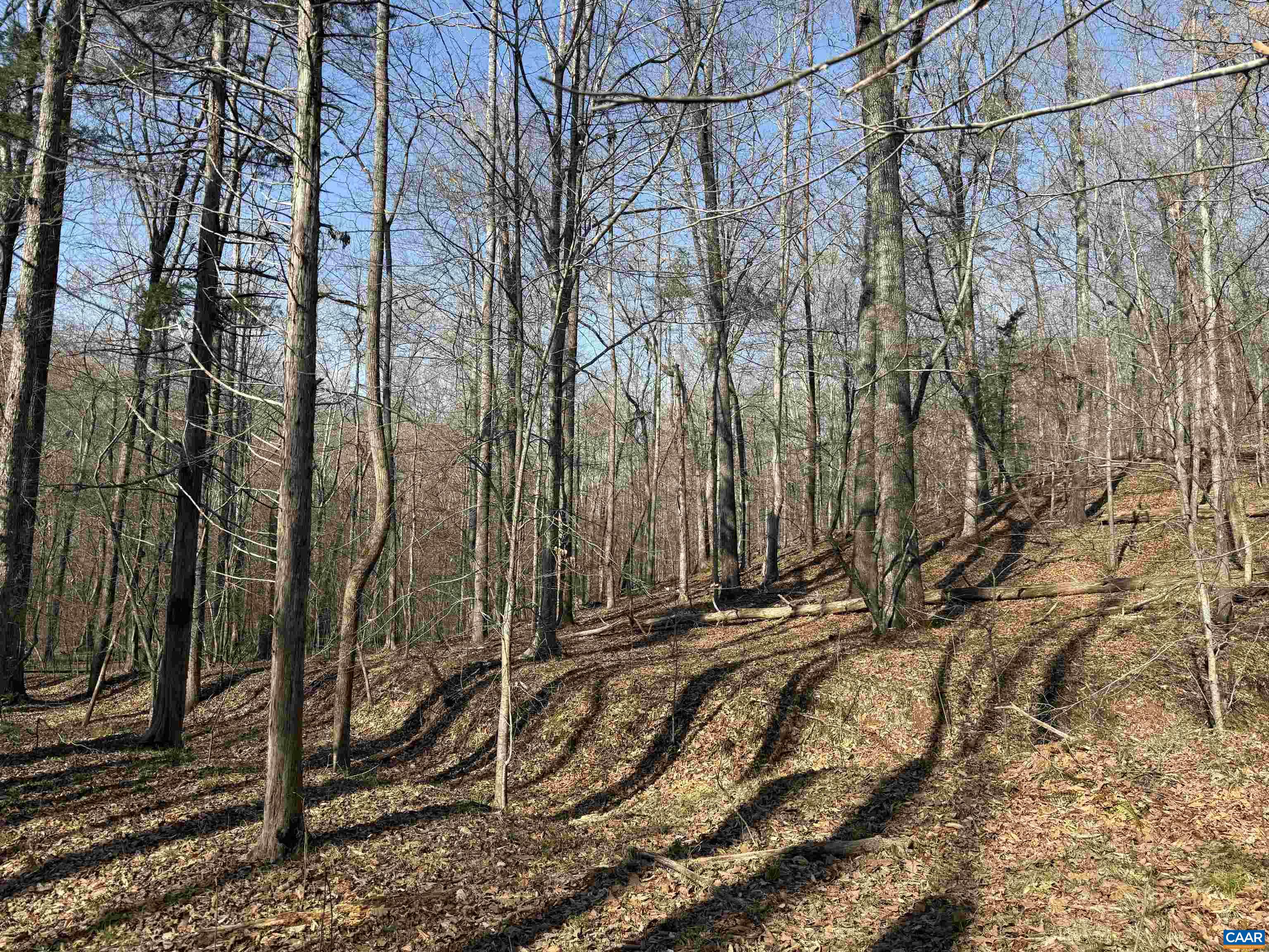 0 PAYNES POND RD, SCOTTSVILLE, Virginia 24590, ,Farm,14,0 PAYNES POND RD,677374 MLS # 677374