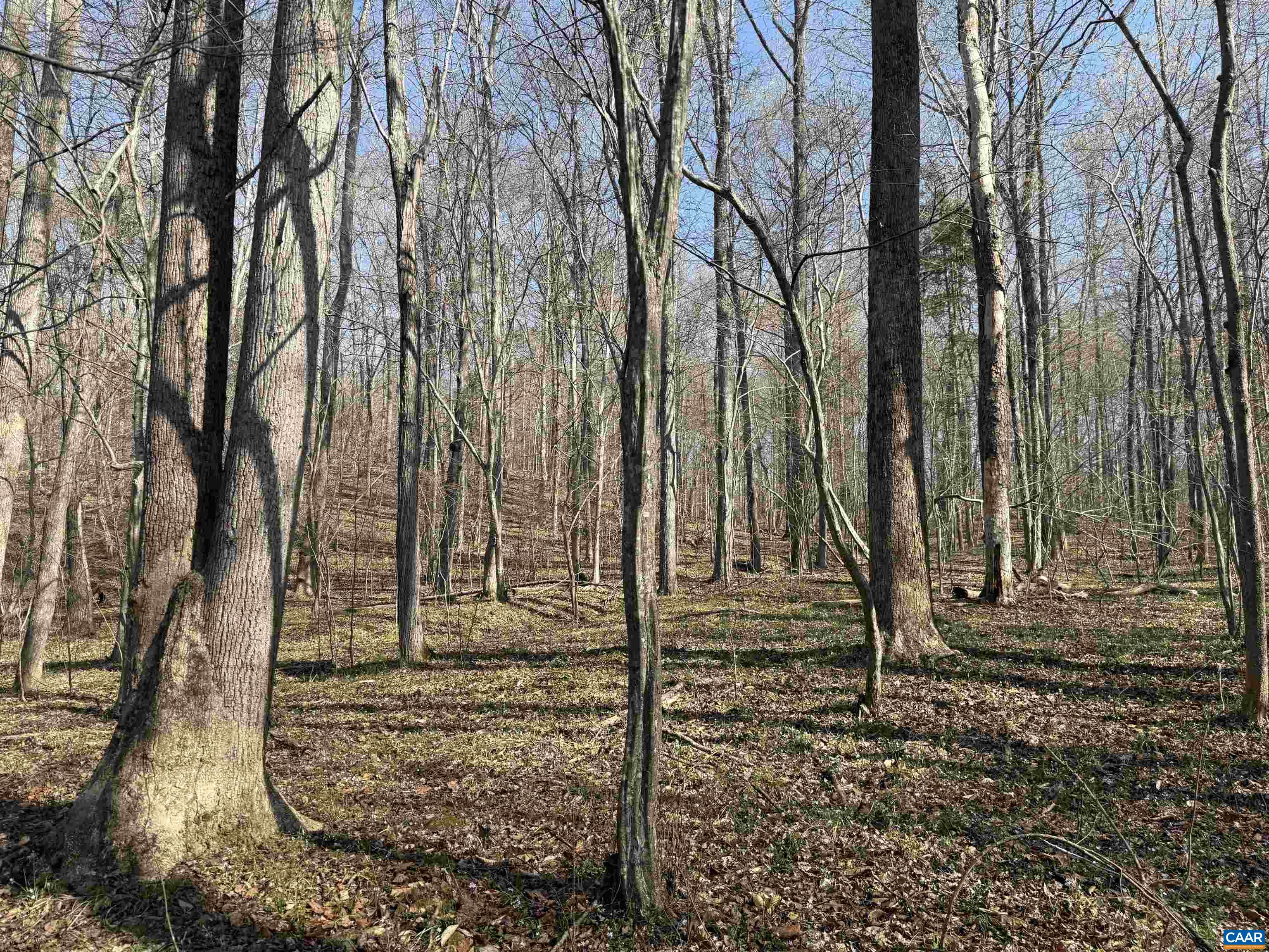 0 PAYNES POND RD, SCOTTSVILLE, Virginia 24590, ,Farm,14,0 PAYNES POND RD,677374 MLS # 677374