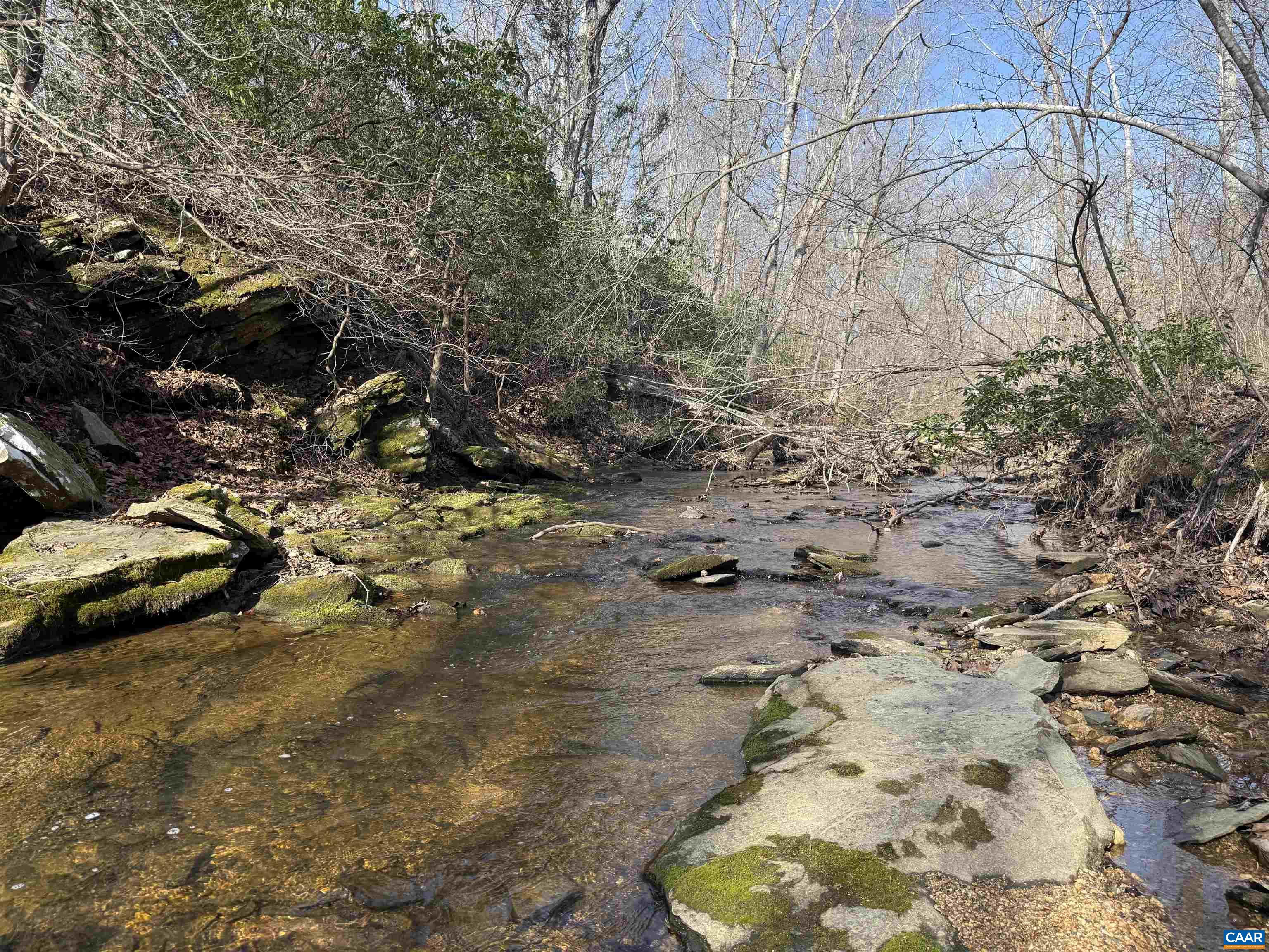 0 PAYNES POND RD, SCOTTSVILLE, Virginia 24590, ,Farm,14,0 PAYNES POND RD,677374 MLS # 677374