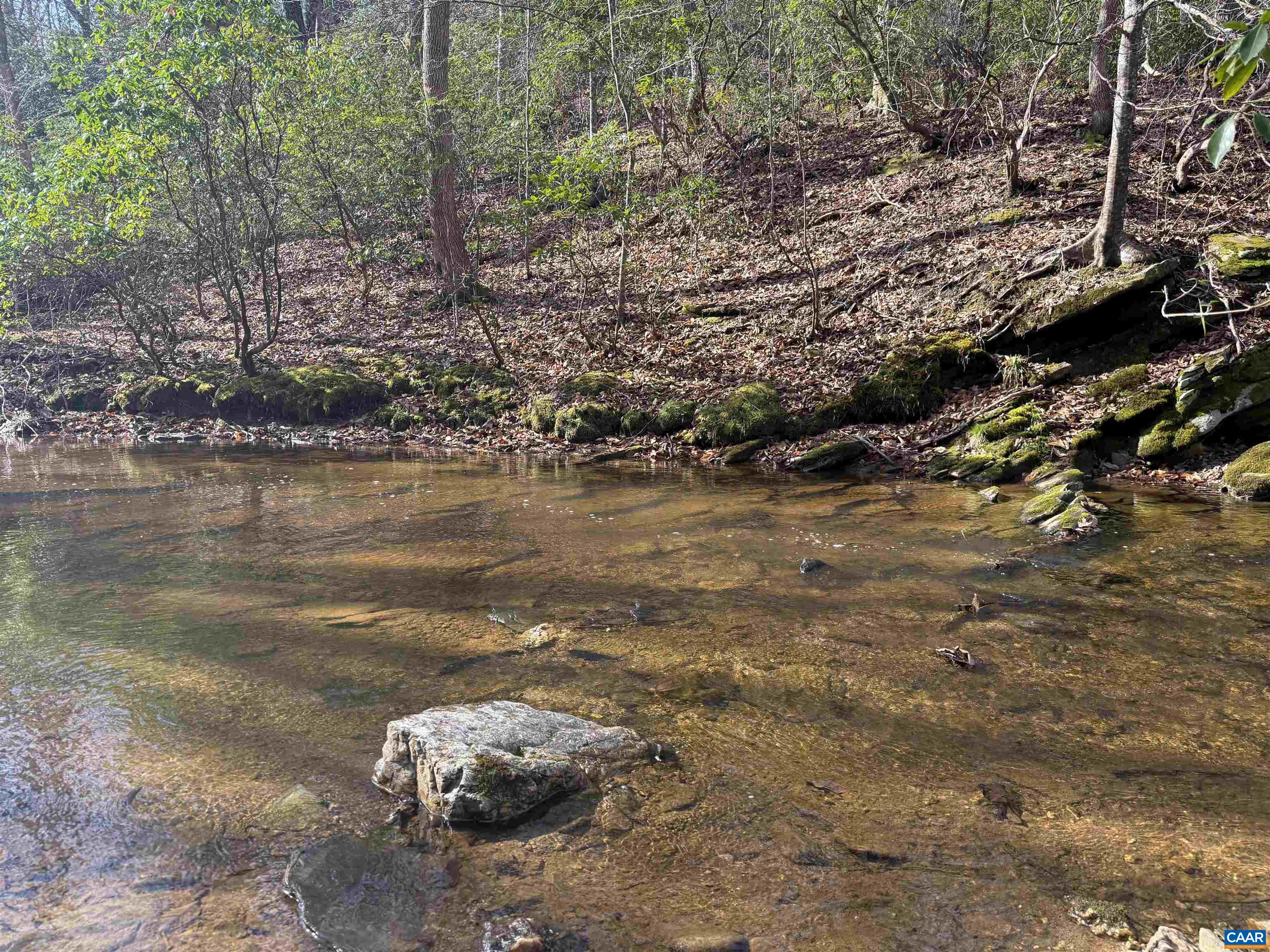 0 PAYNES POND RD, SCOTTSVILLE, Virginia 24590, ,Farm,14,0 PAYNES POND RD,677374 MLS # 677374
