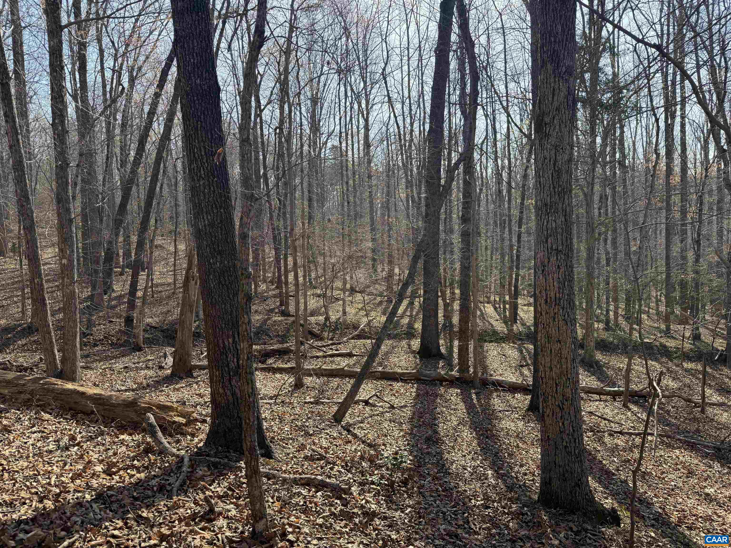 0 PAYNES POND RD, SCOTTSVILLE, Virginia 24590, ,Farm,14,0 PAYNES POND RD,677374 MLS # 677374