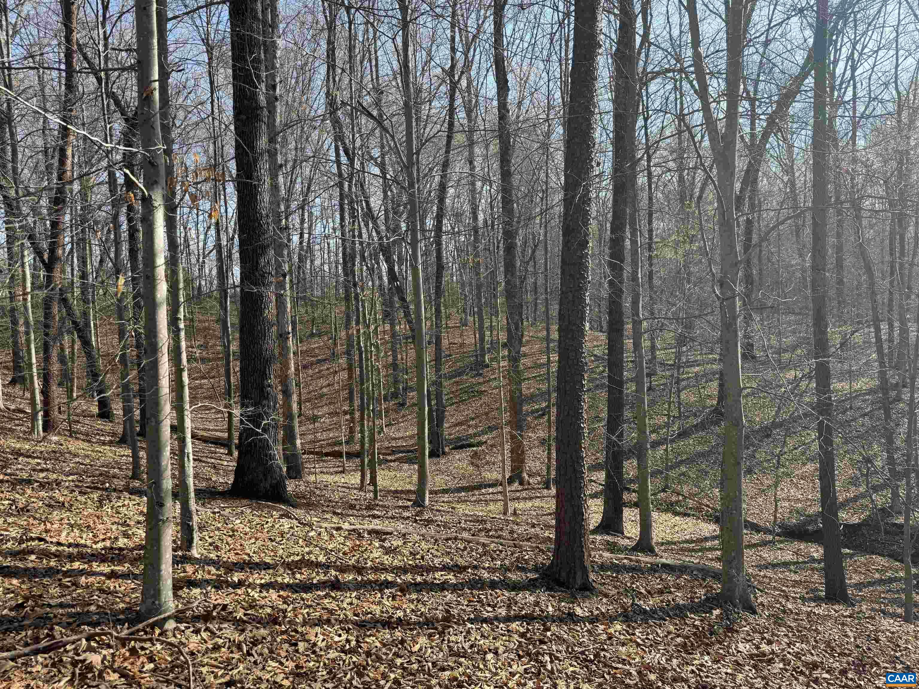 0 PAYNES POND RD, SCOTTSVILLE, Virginia 24590, ,Farm,14,0 PAYNES POND RD,677374 MLS # 677374