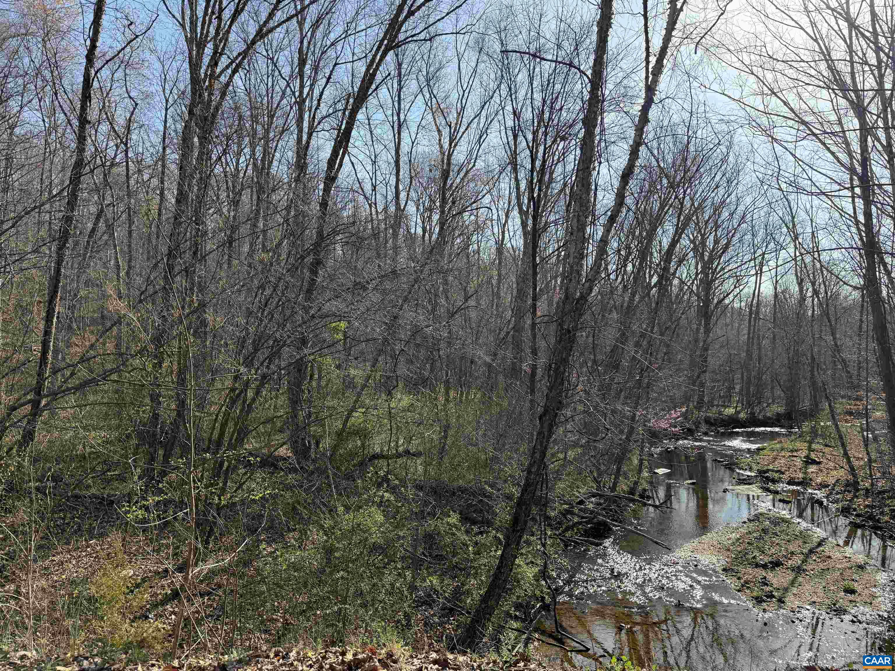 0 PAYNES POND RD, SCOTTSVILLE, Virginia 24590, ,Farm,14,0 PAYNES POND RD,677374 MLS # 677374