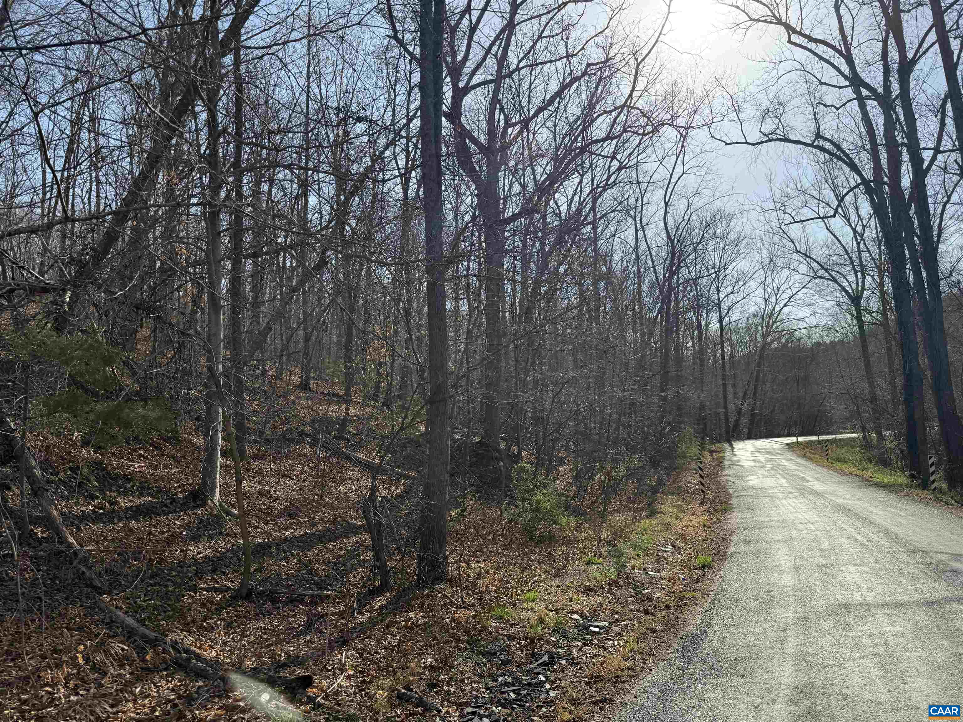 0 PAYNES POND RD, SCOTTSVILLE, Virginia 24590, ,Farm,14,0 PAYNES POND RD,677374 MLS # 677374