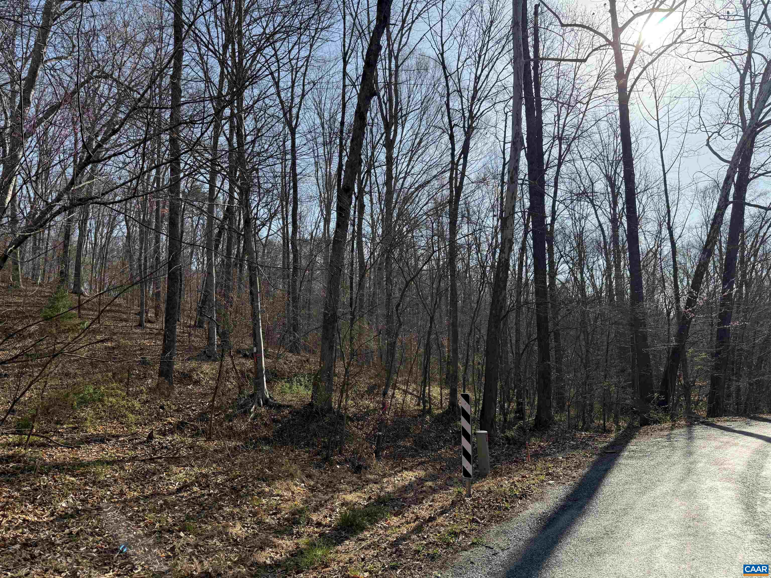 0 PAYNES POND RD, SCOTTSVILLE, Virginia 24590, ,Farm,14,0 PAYNES POND RD,677374 MLS # 677374