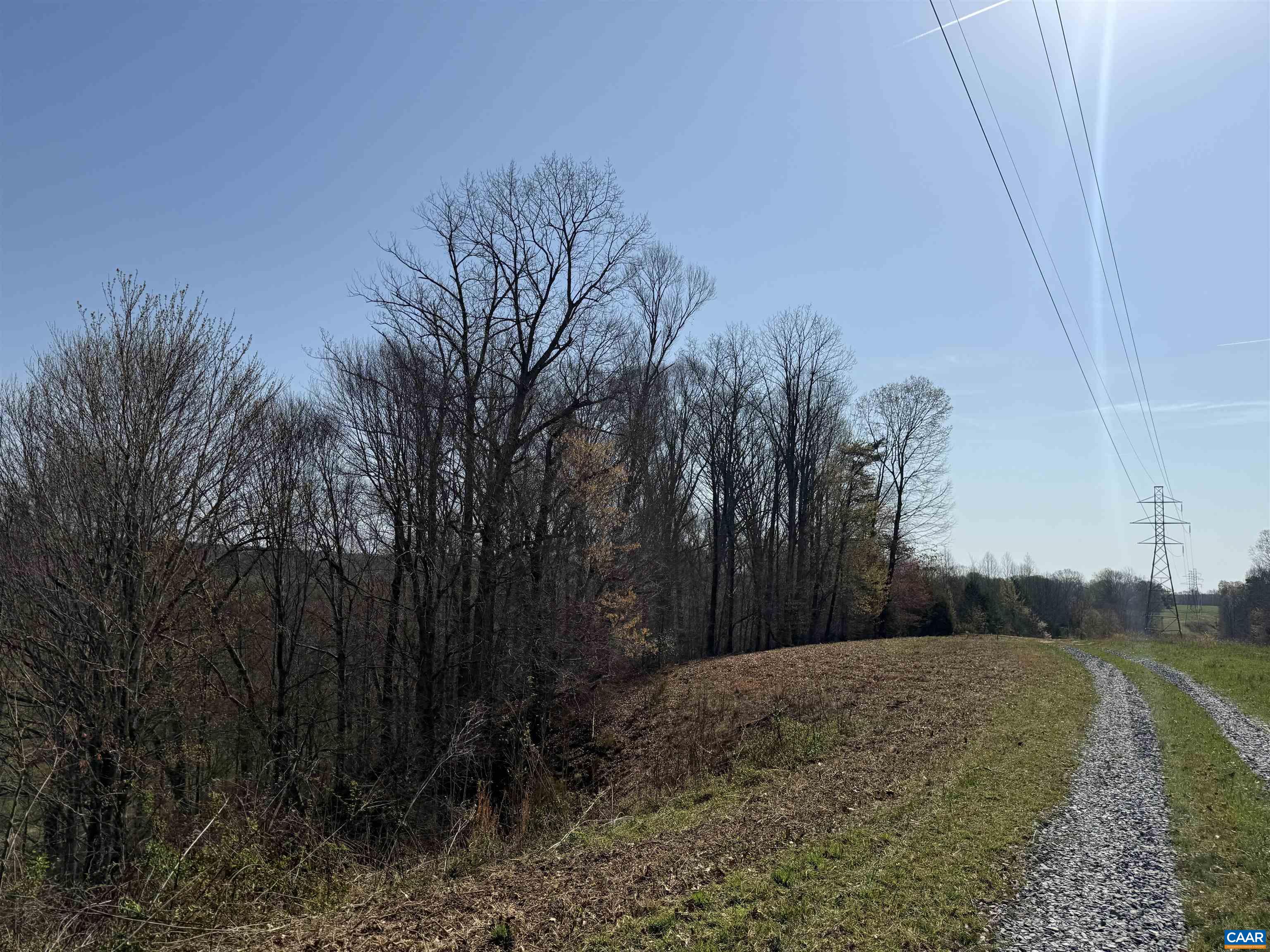 0 PAYNES POND RD, SCOTTSVILLE, Virginia 24590, ,Farm,14,0 PAYNES POND RD,677374 MLS # 677374