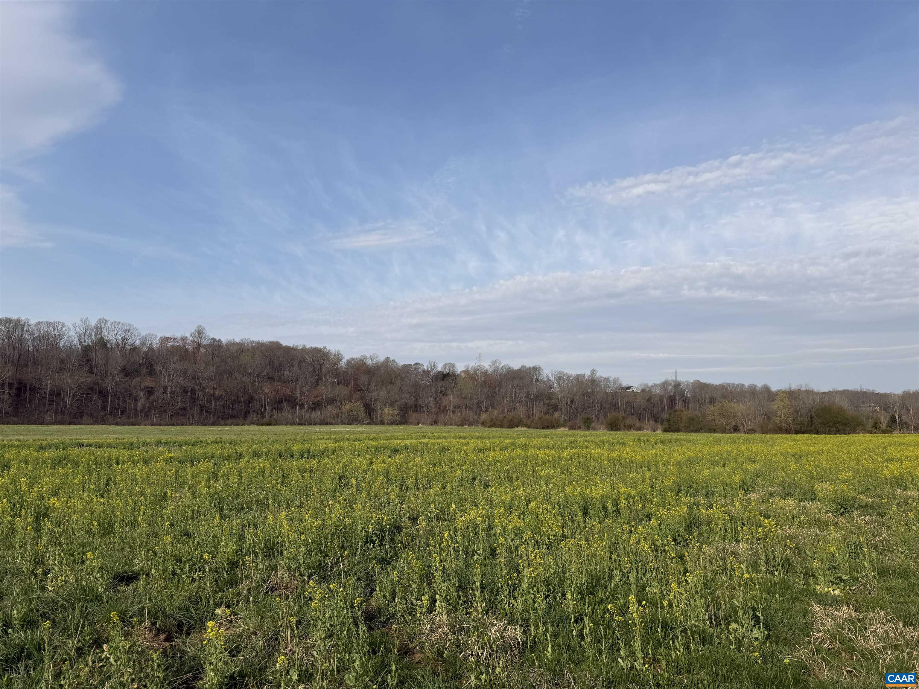 0 PAYNES POND RD, SCOTTSVILLE, Virginia 24590, ,Farm,14,0 PAYNES POND RD,677374 MLS # 677374